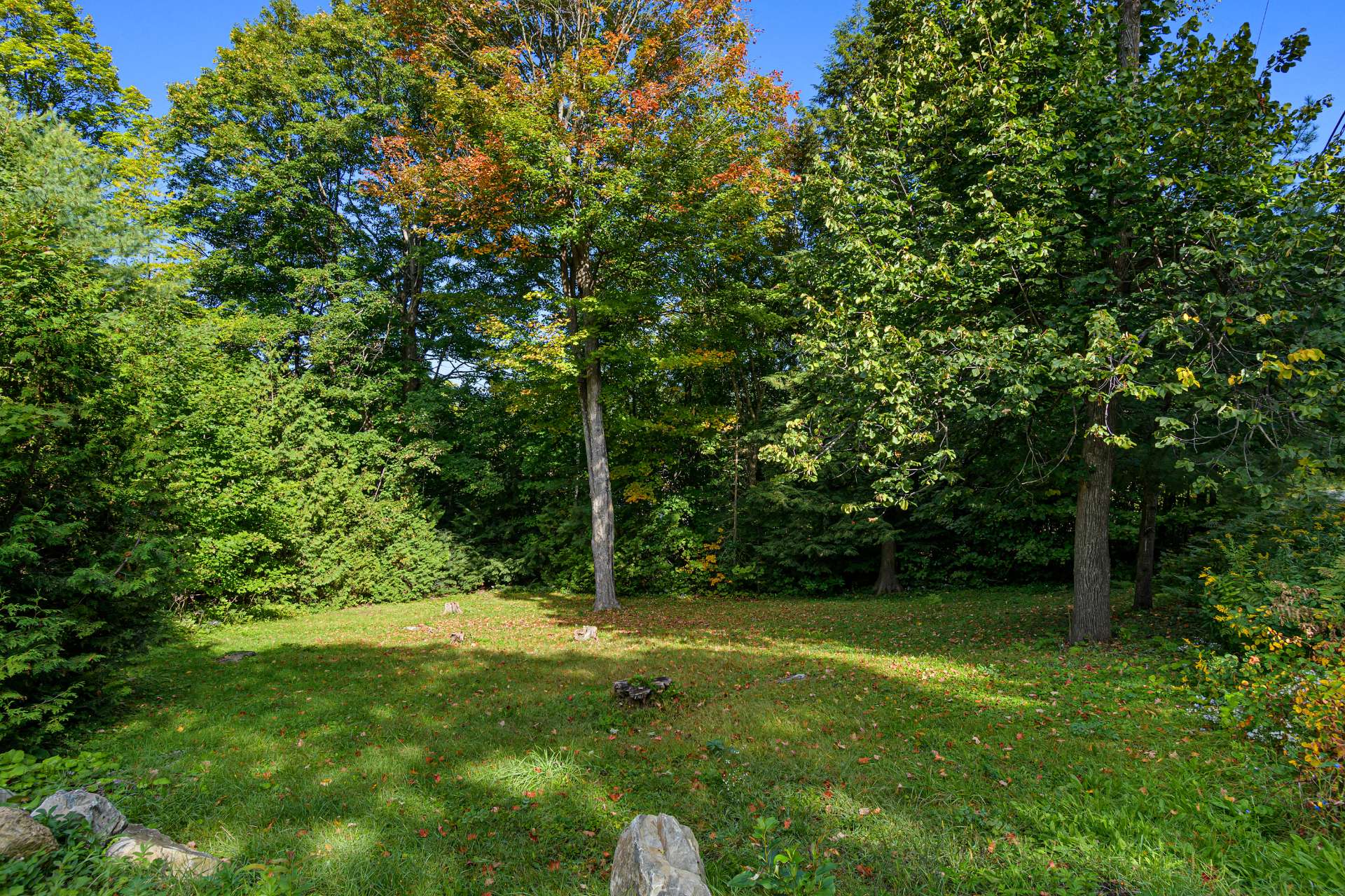 Land/Lot