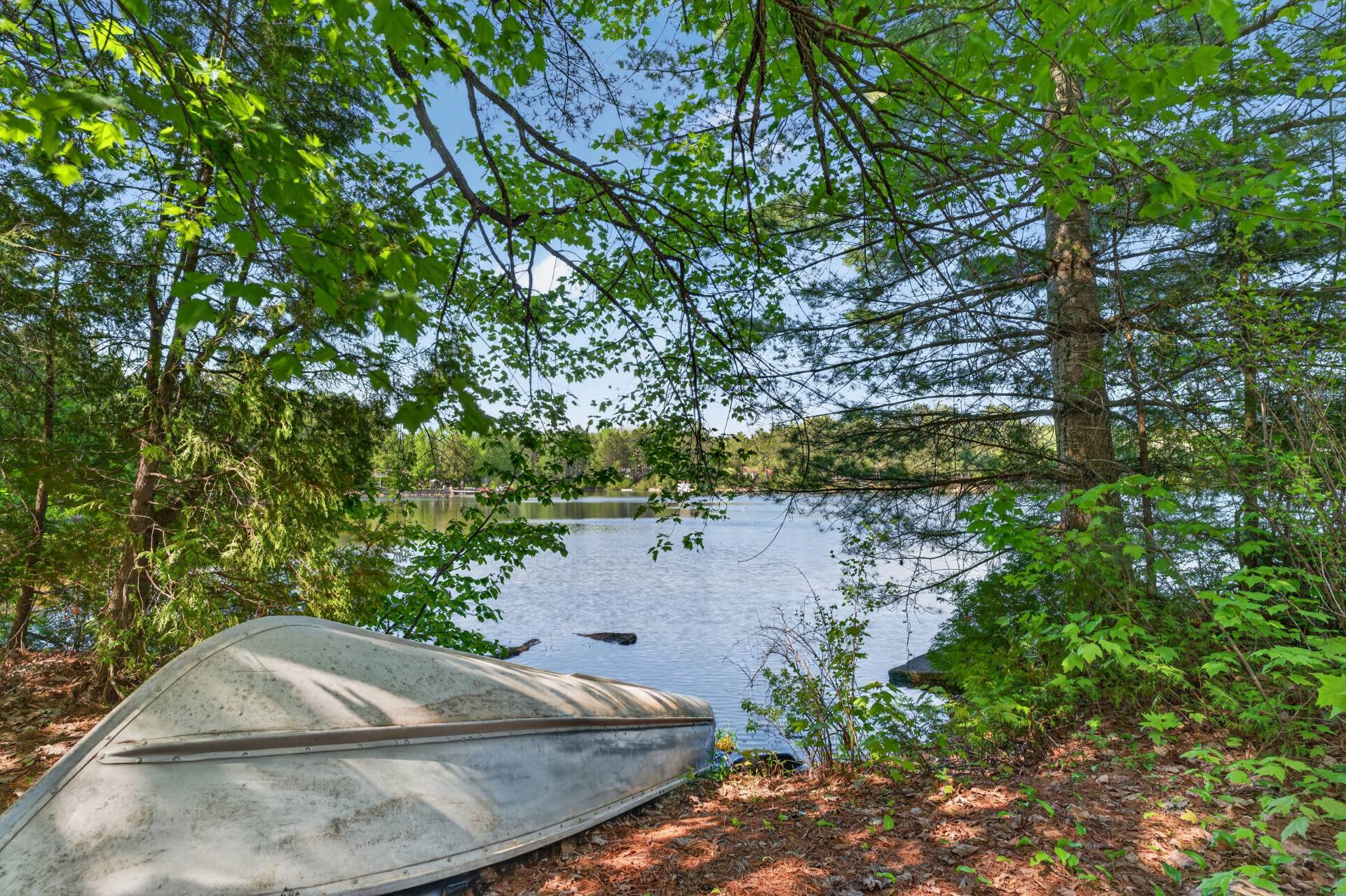 Vue sur l'eau
