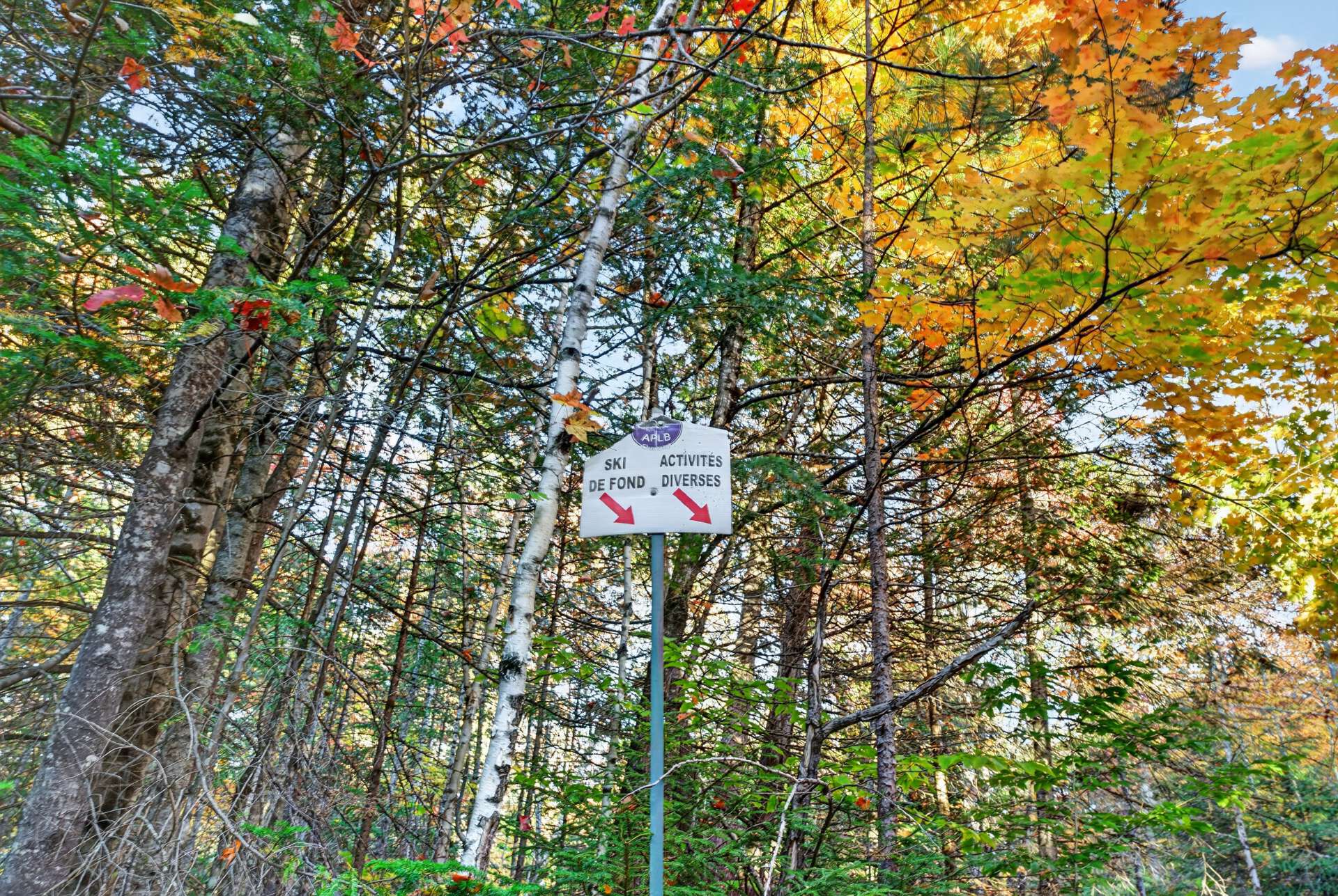 sentier à proximité