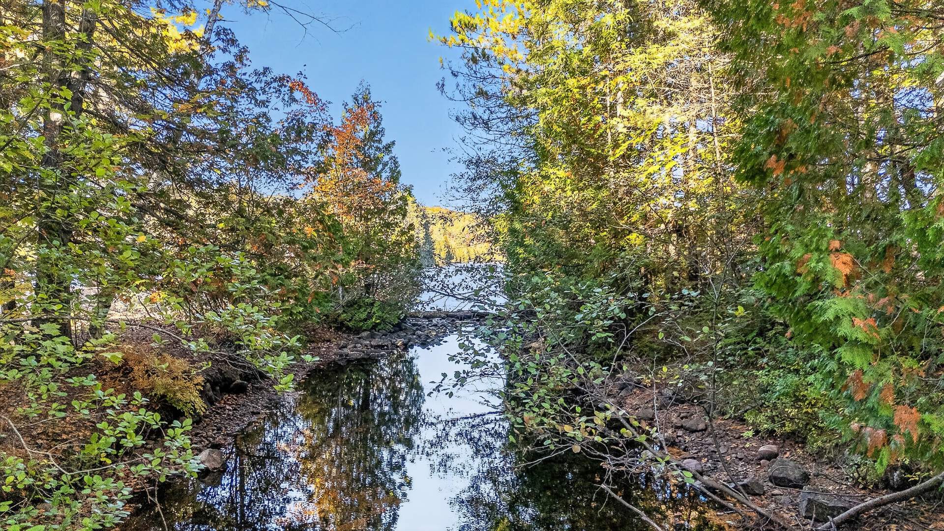 rivière autour du terrain