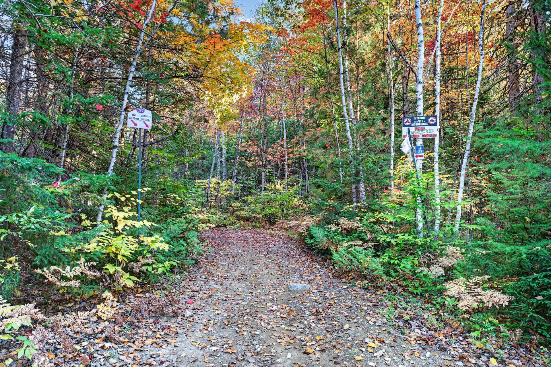 sentier à proximité