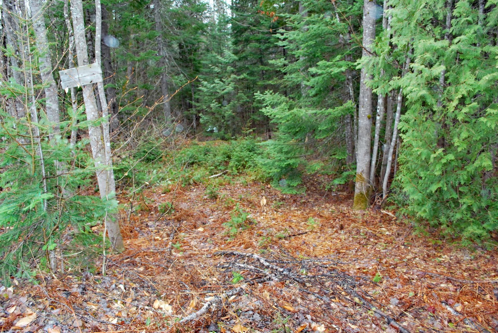 Land/Lot
