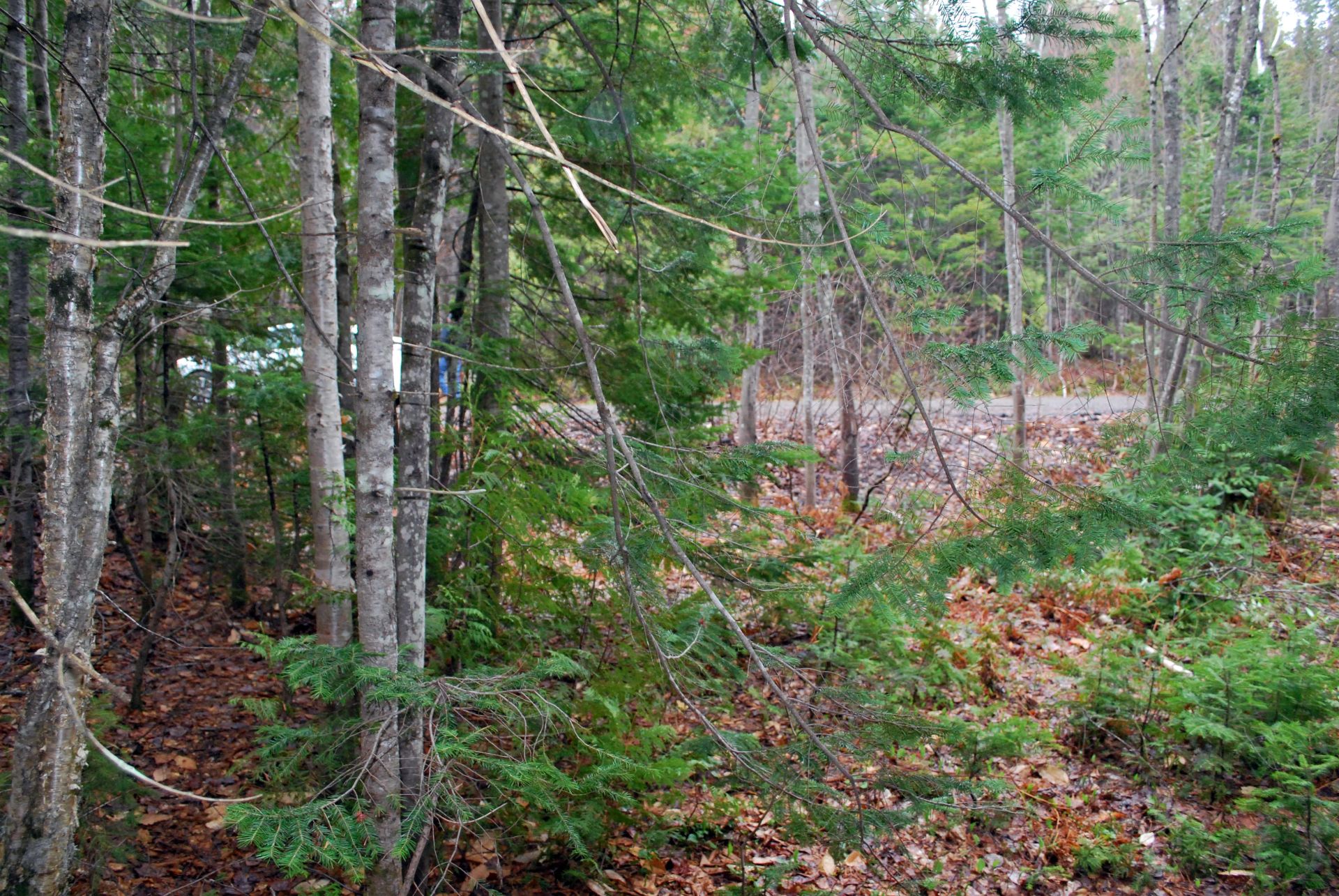 Land/Lot