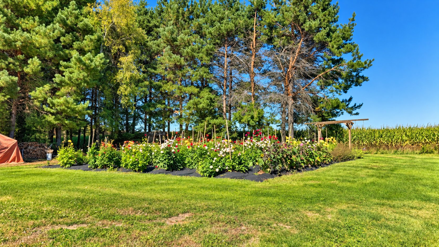 Jardin