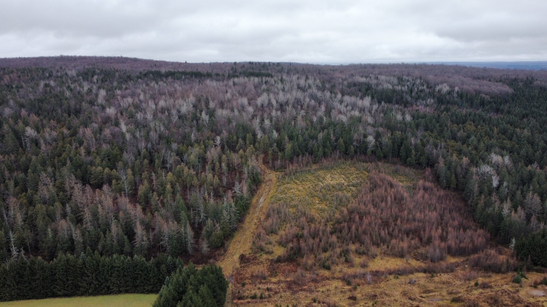 Land/Lot