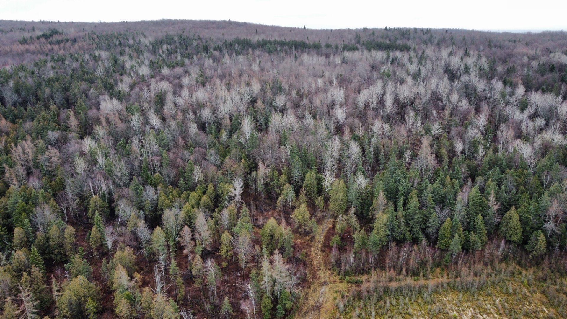 Land/Lot