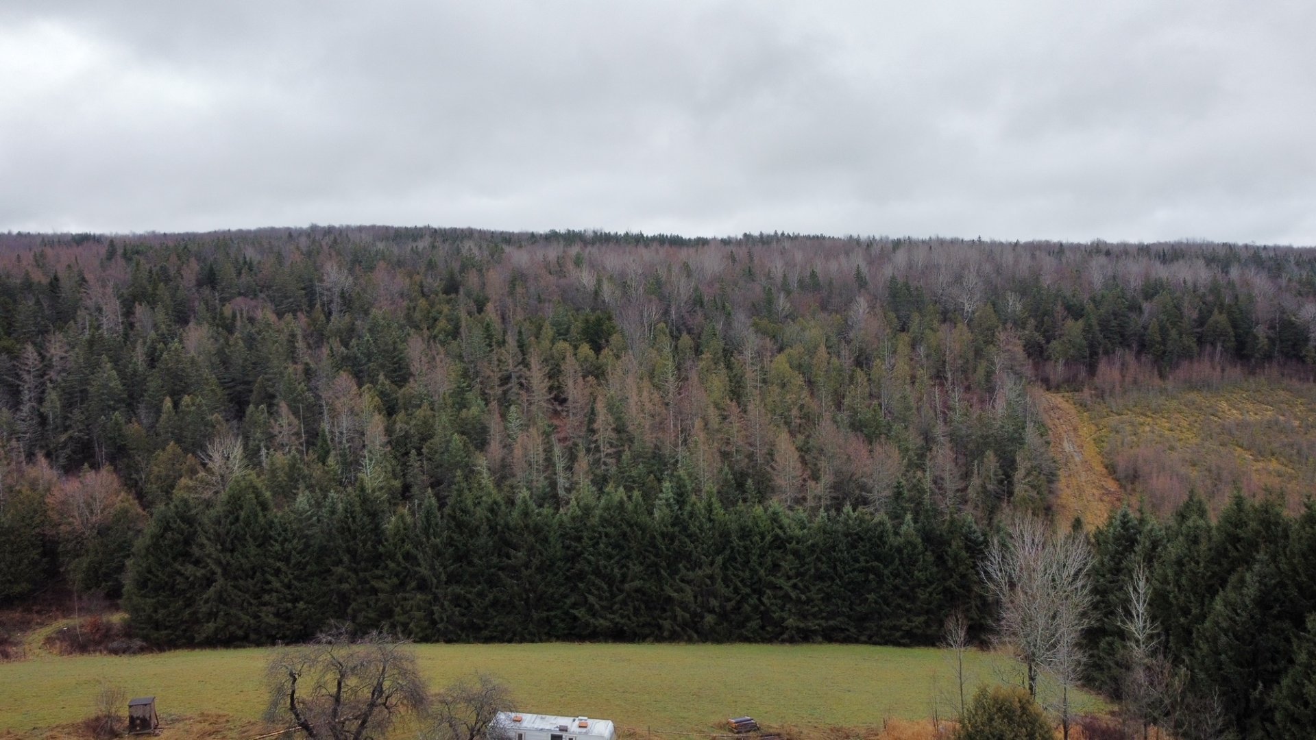 Land/Lot