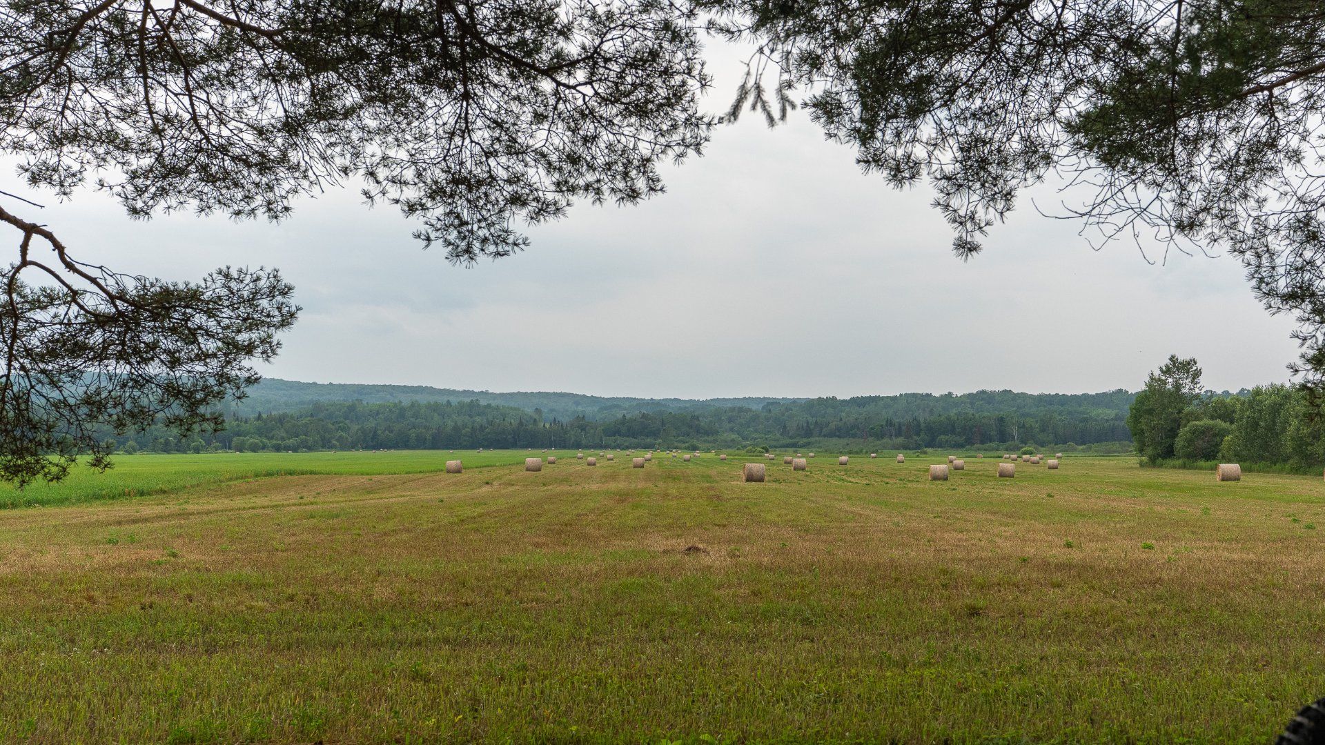Vue d'ensemble