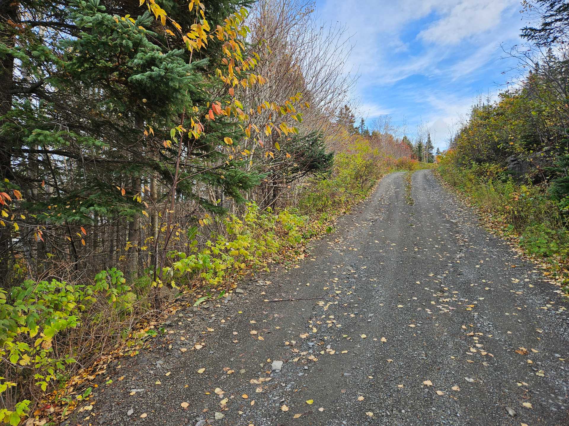 Chemin pour se rendre au terrain