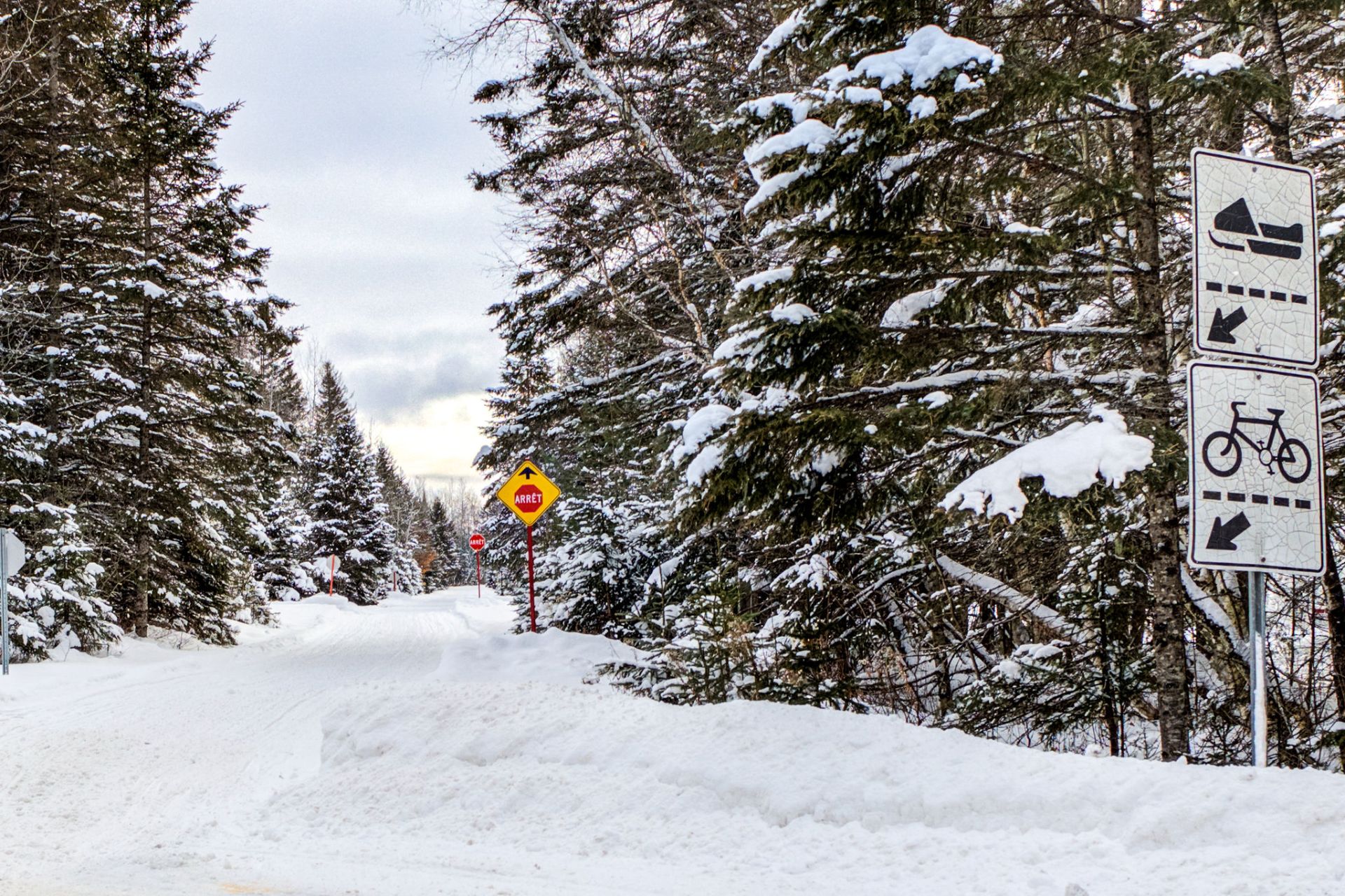 sentier de motoneige
