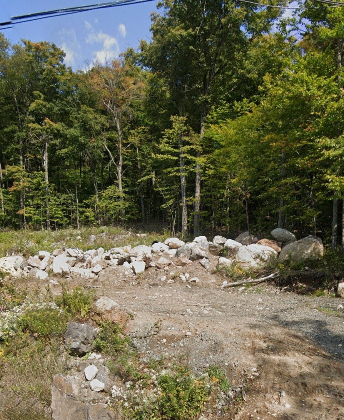 Terre/Terrain