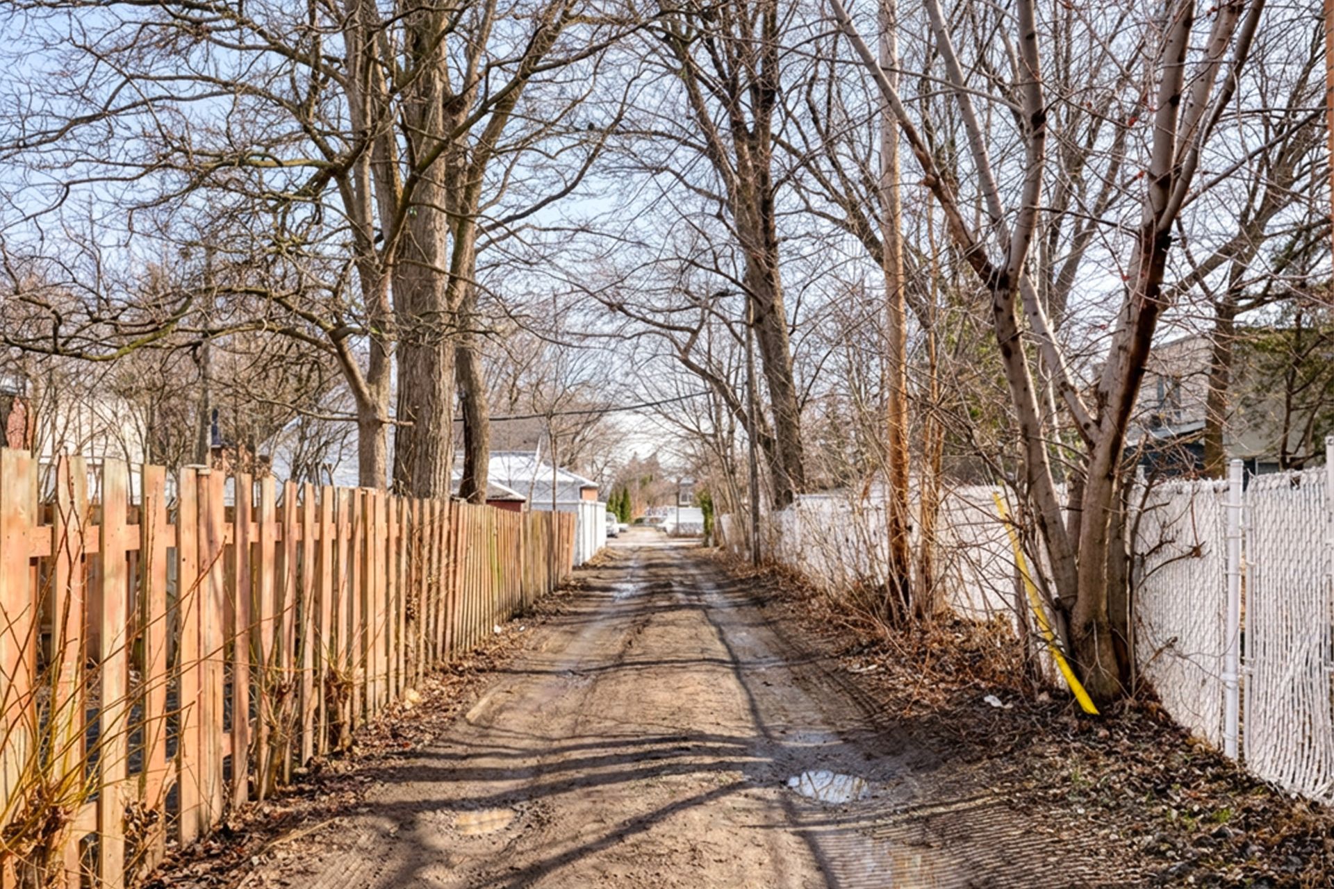 Ruelle