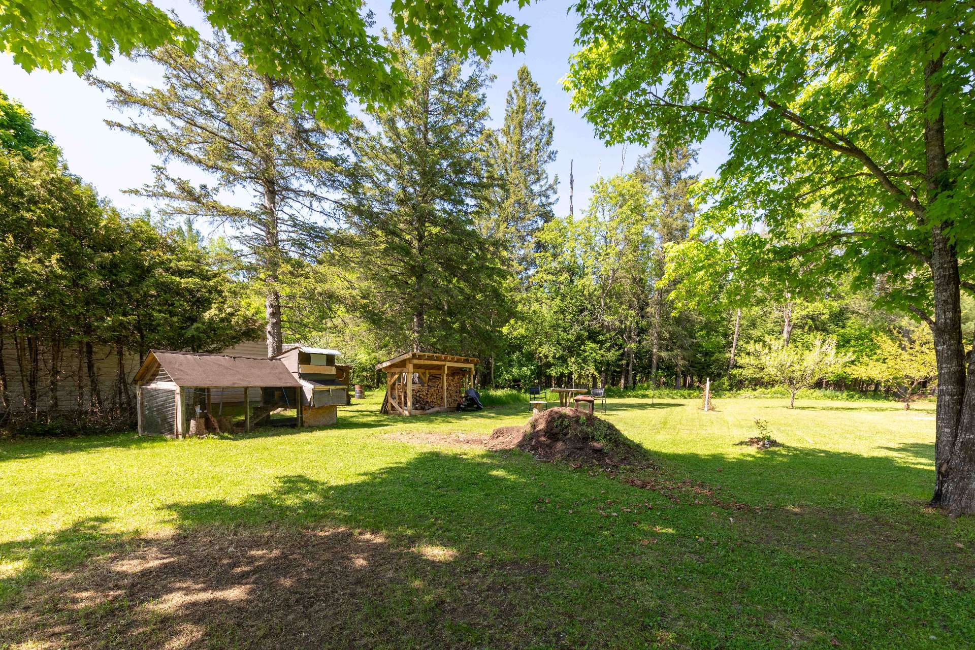 Backyard