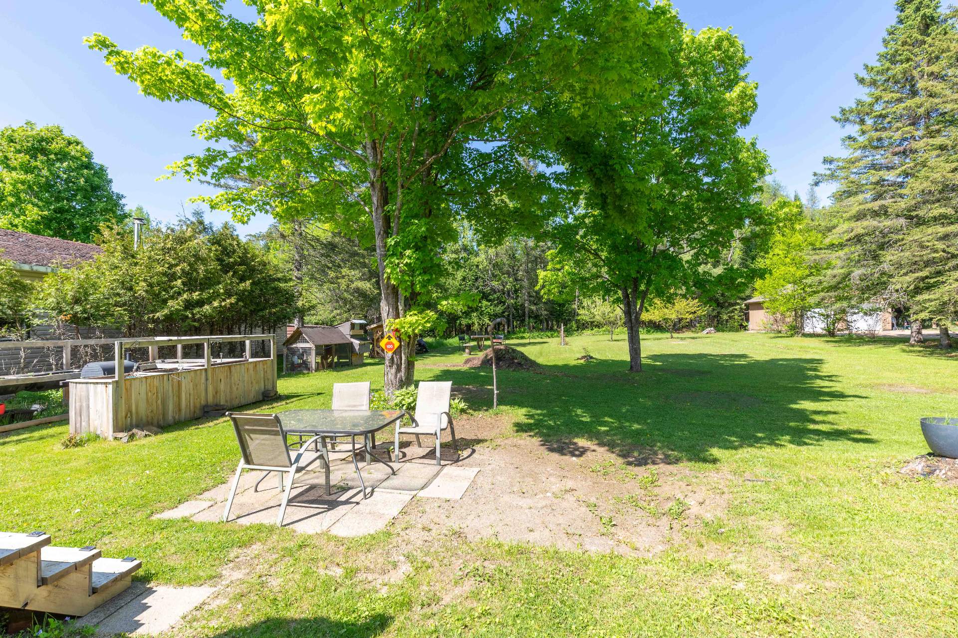 Backyard