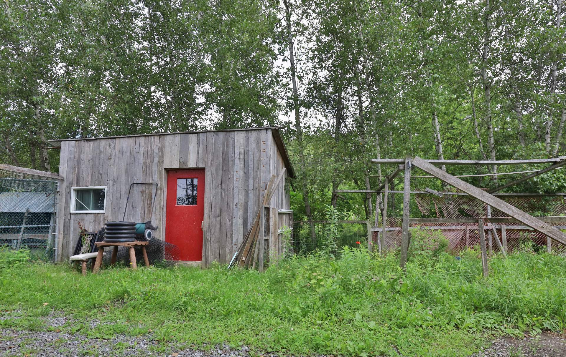 Shed