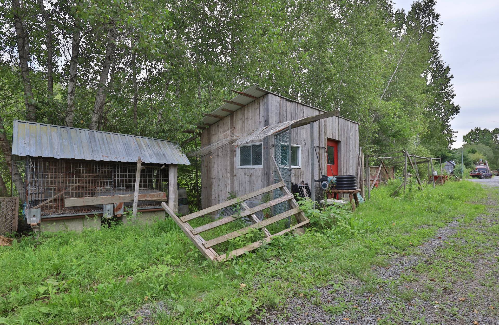 Shed