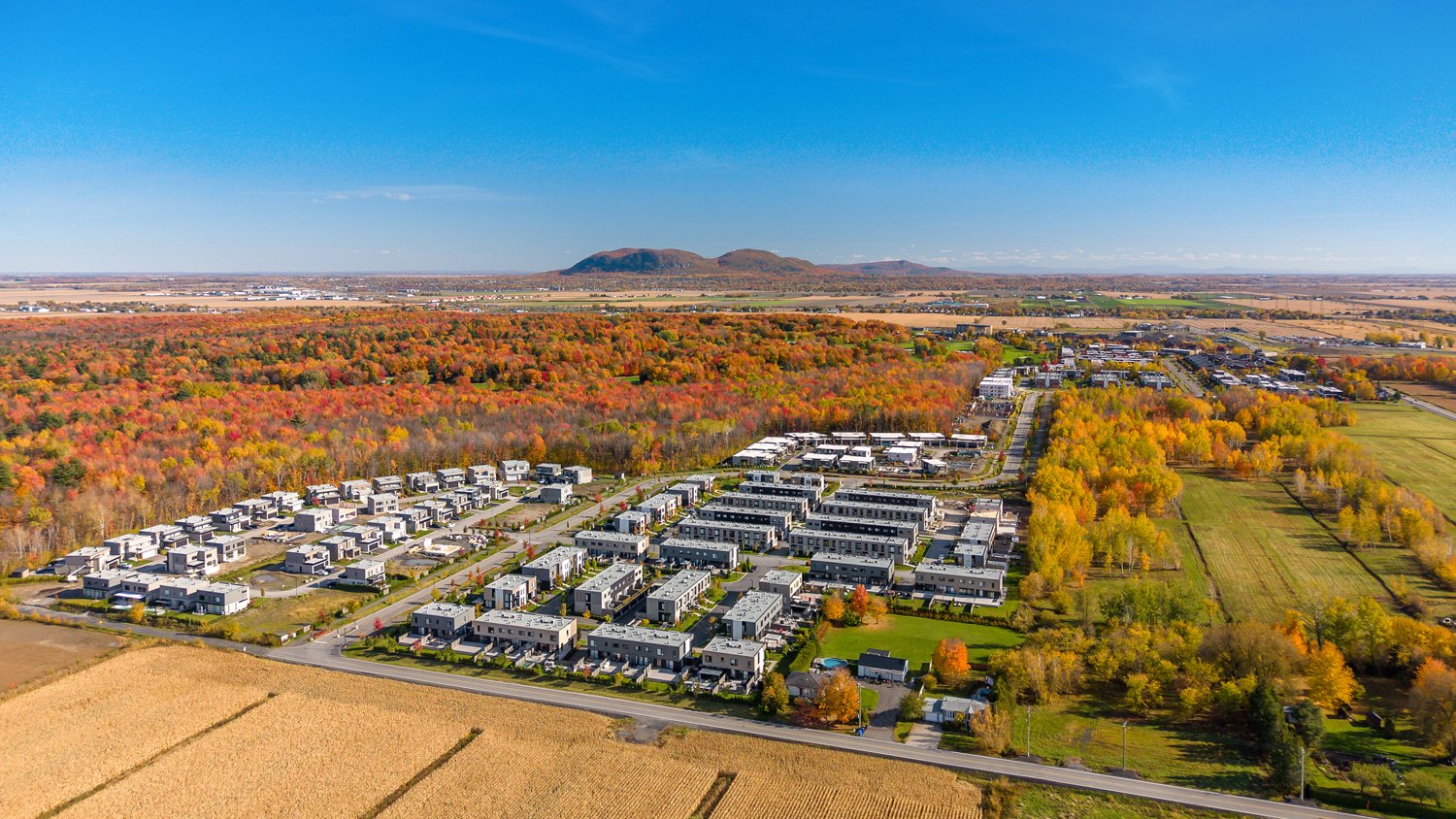 Aerial photo
