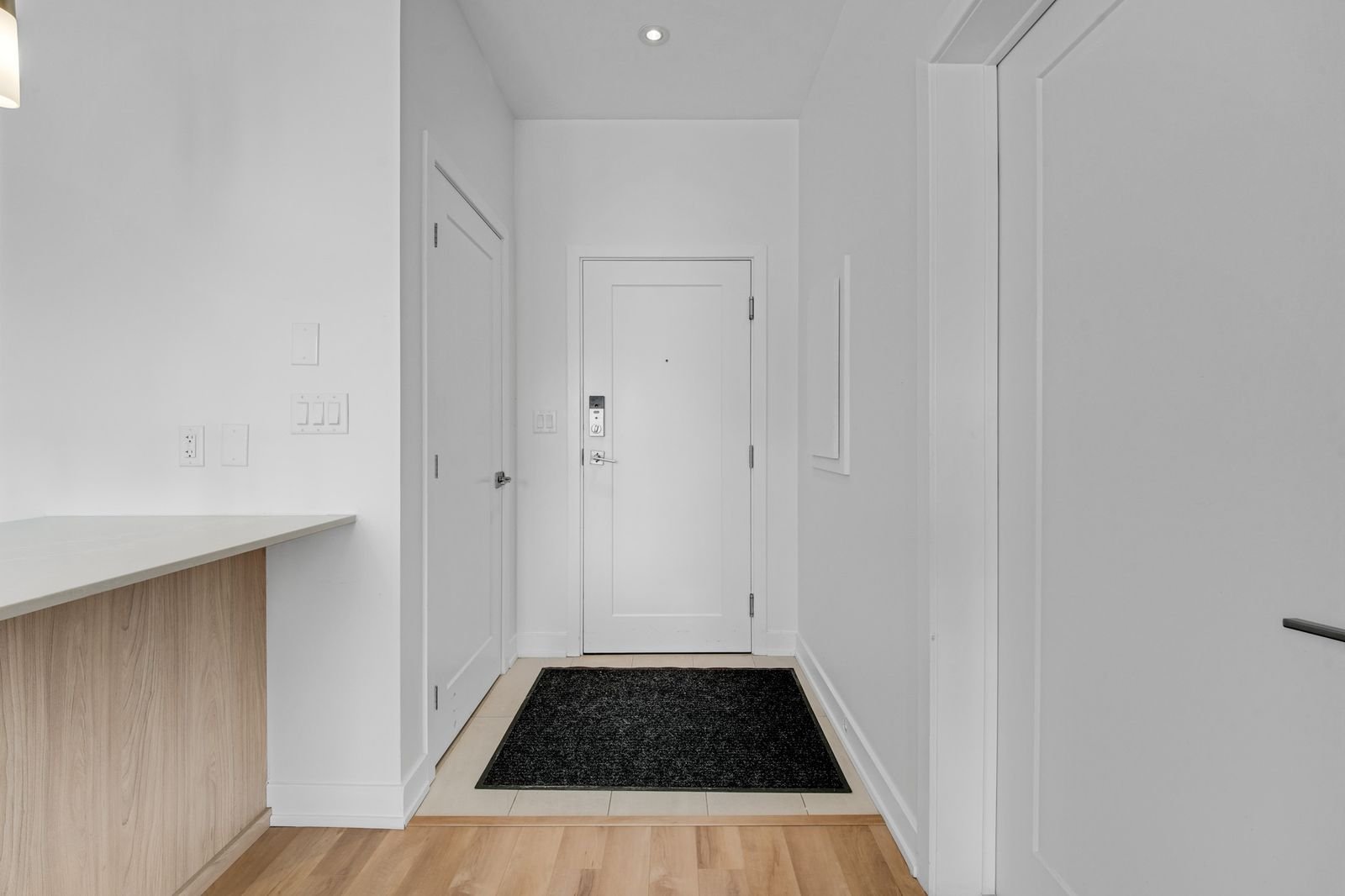 Hall d'entrée/Vestibule