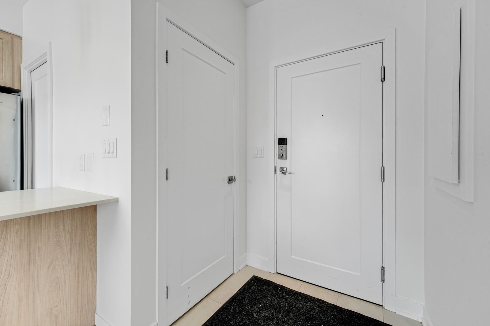 Hall d'entrée/Vestibule