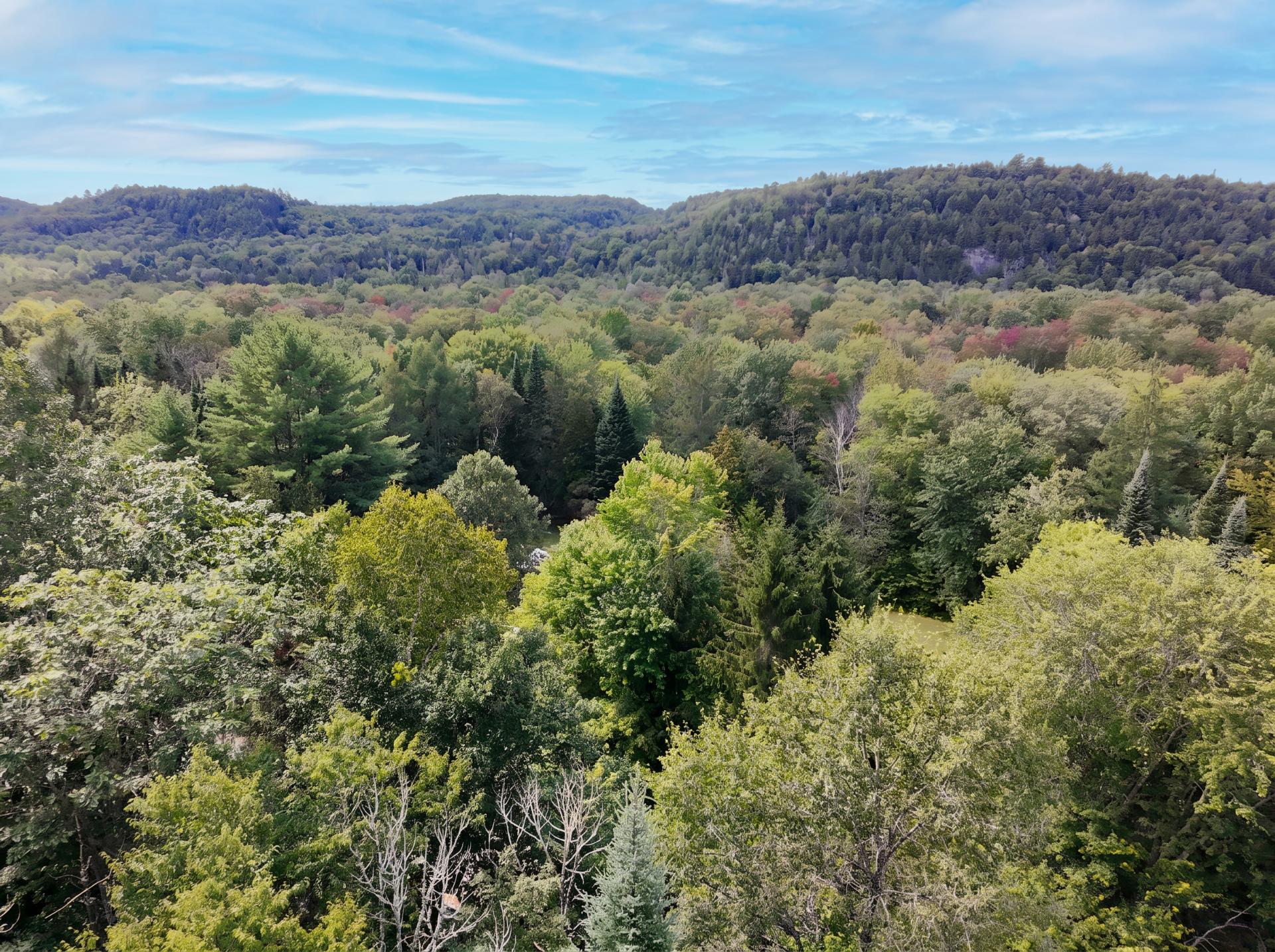 Vue