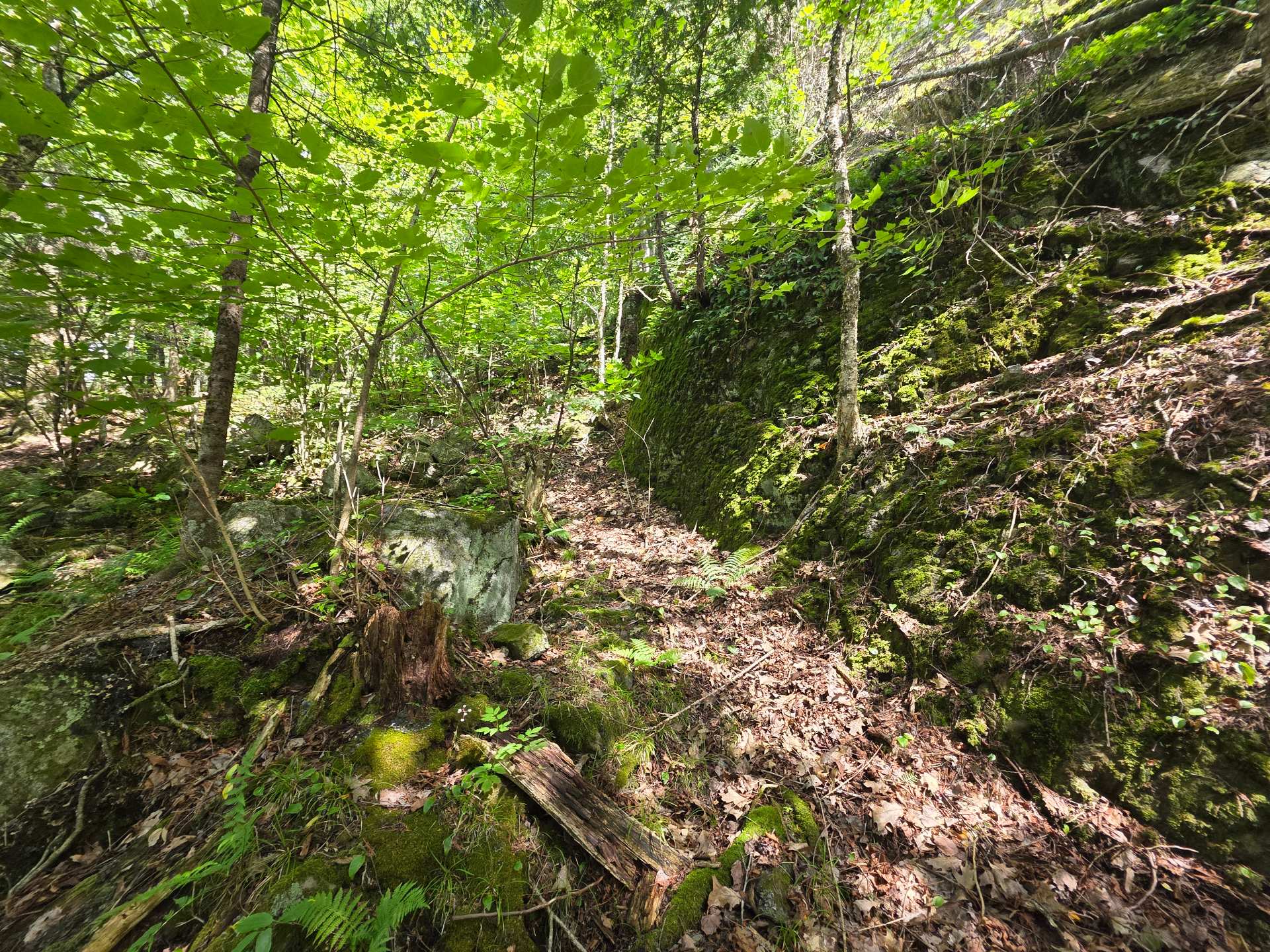 Terre/Terrain