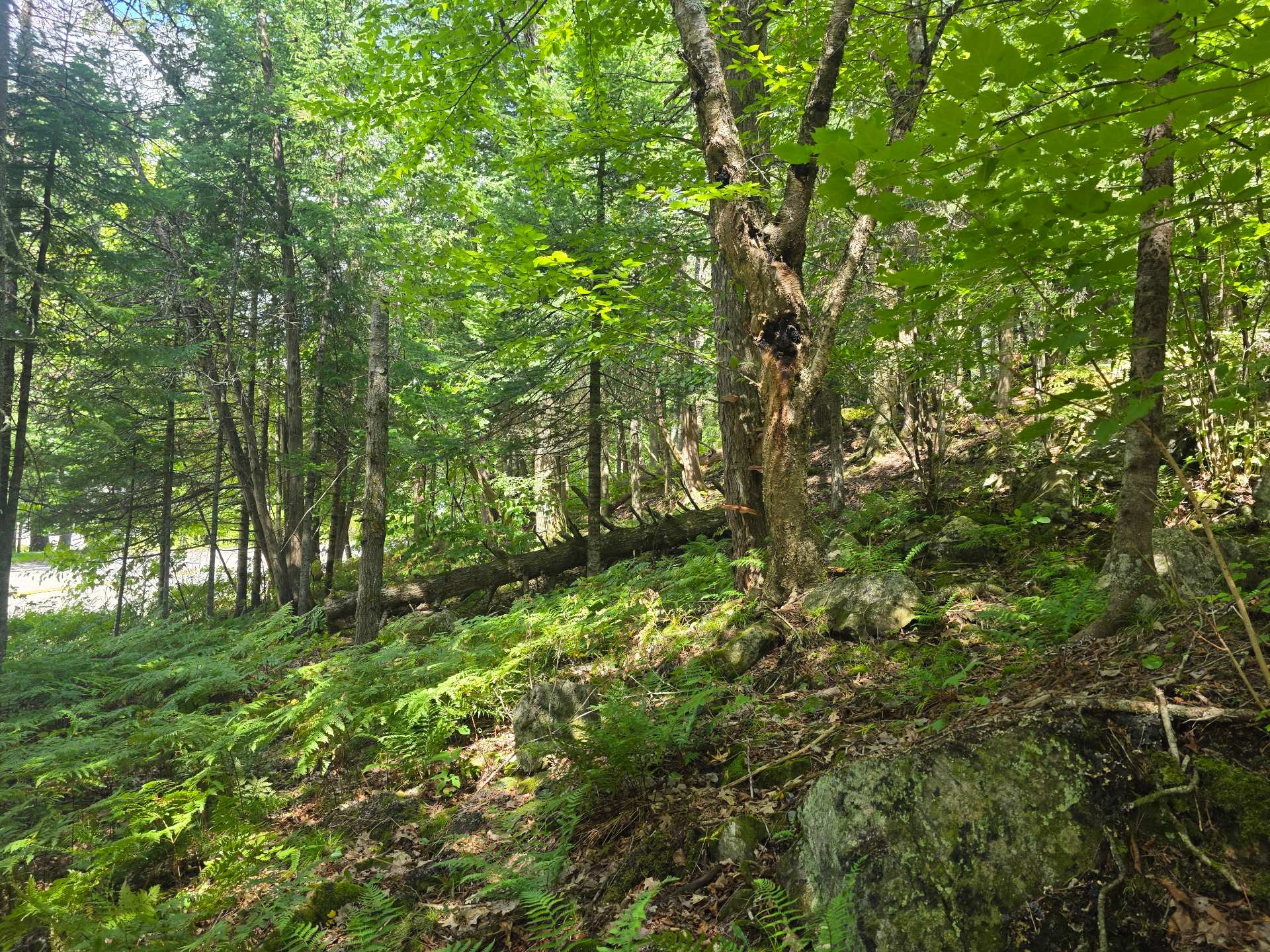 Terre/Terrain