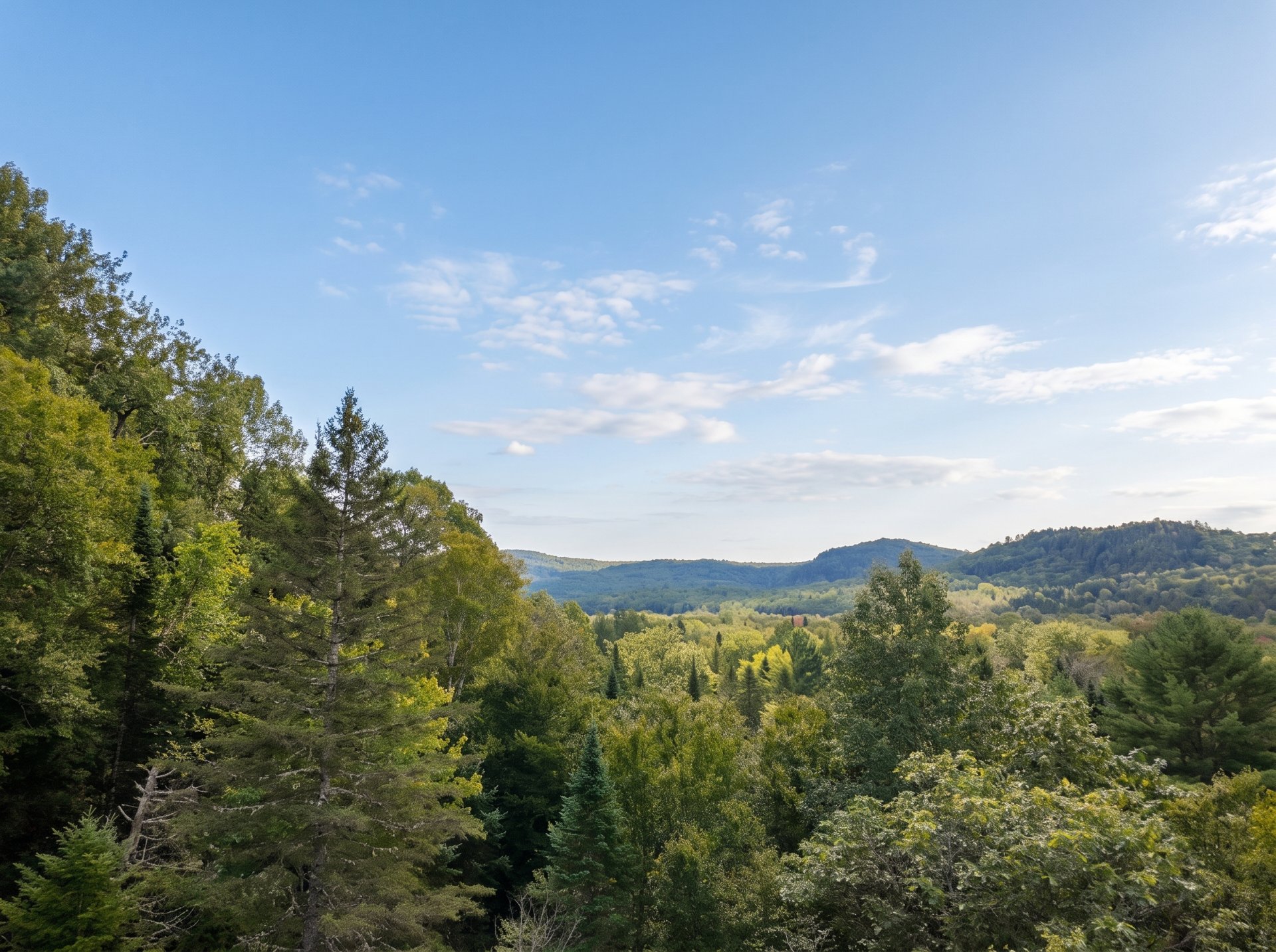Vue