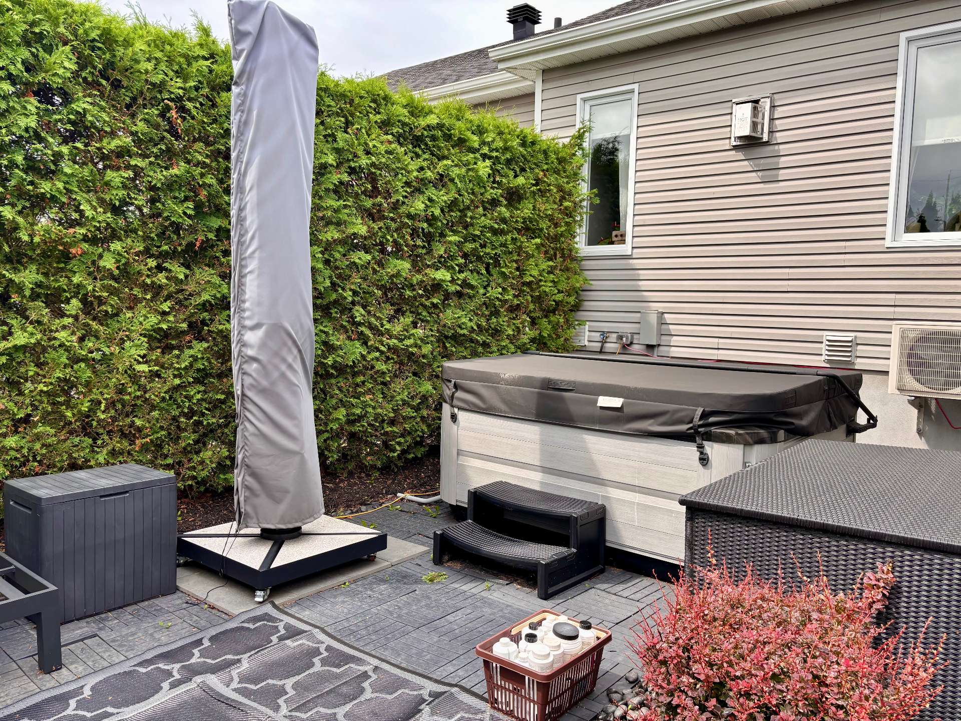 Backyard