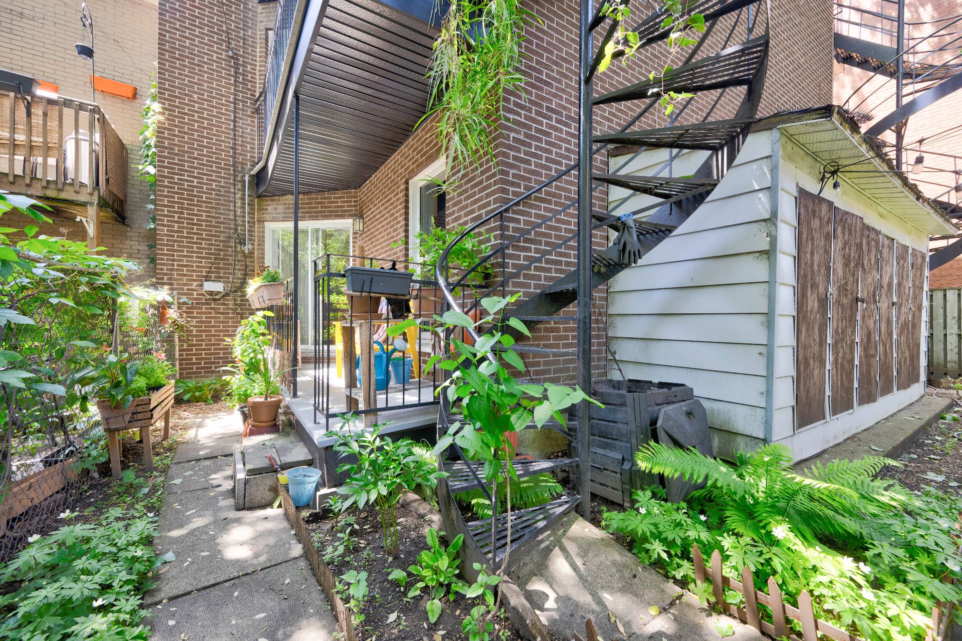 Backyard