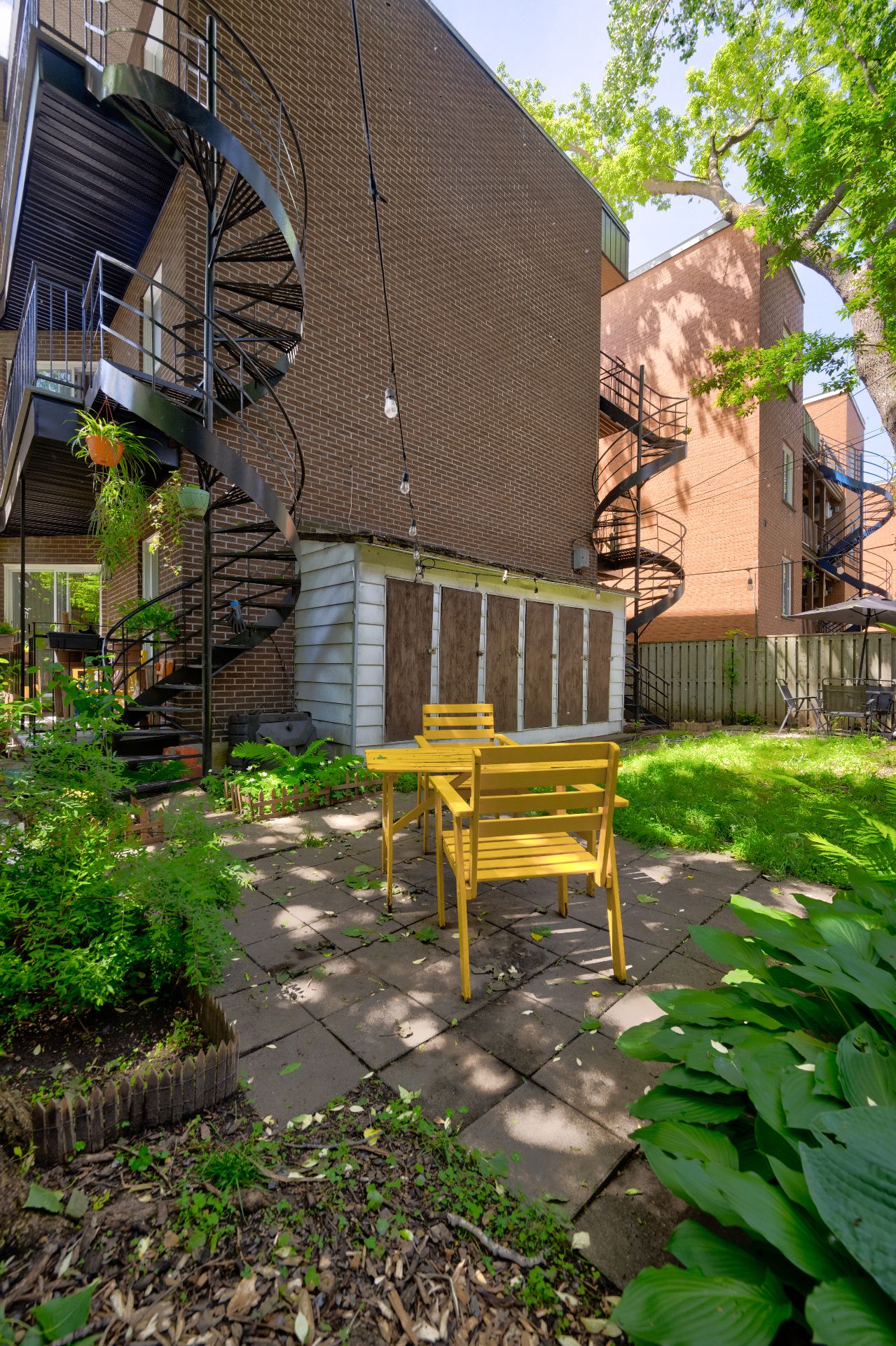 Backyard