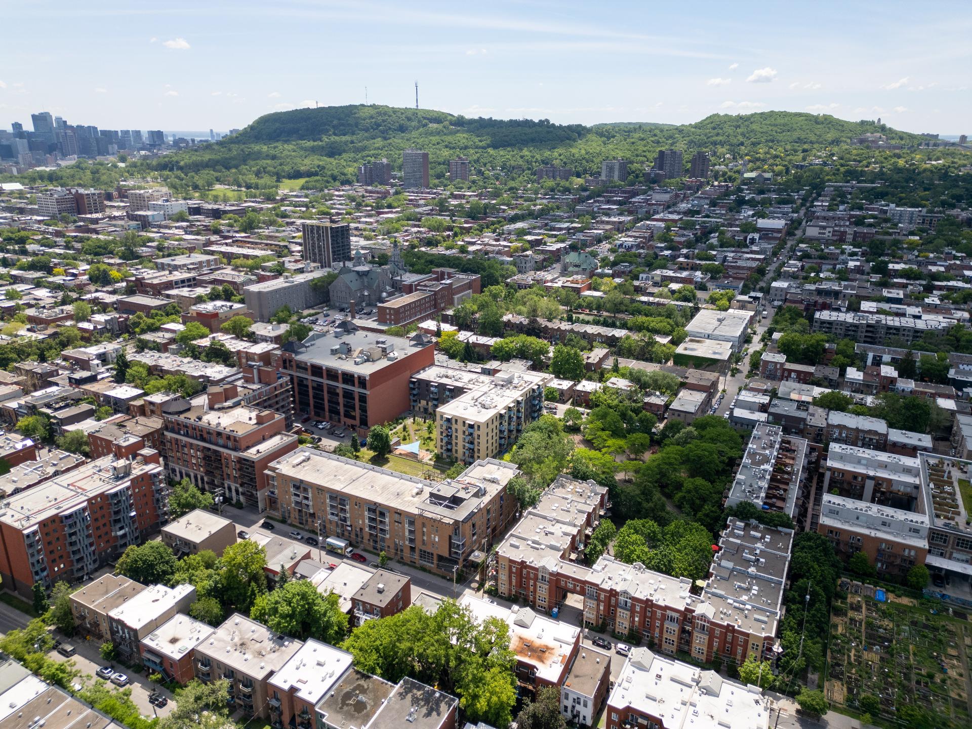 Aerial photo