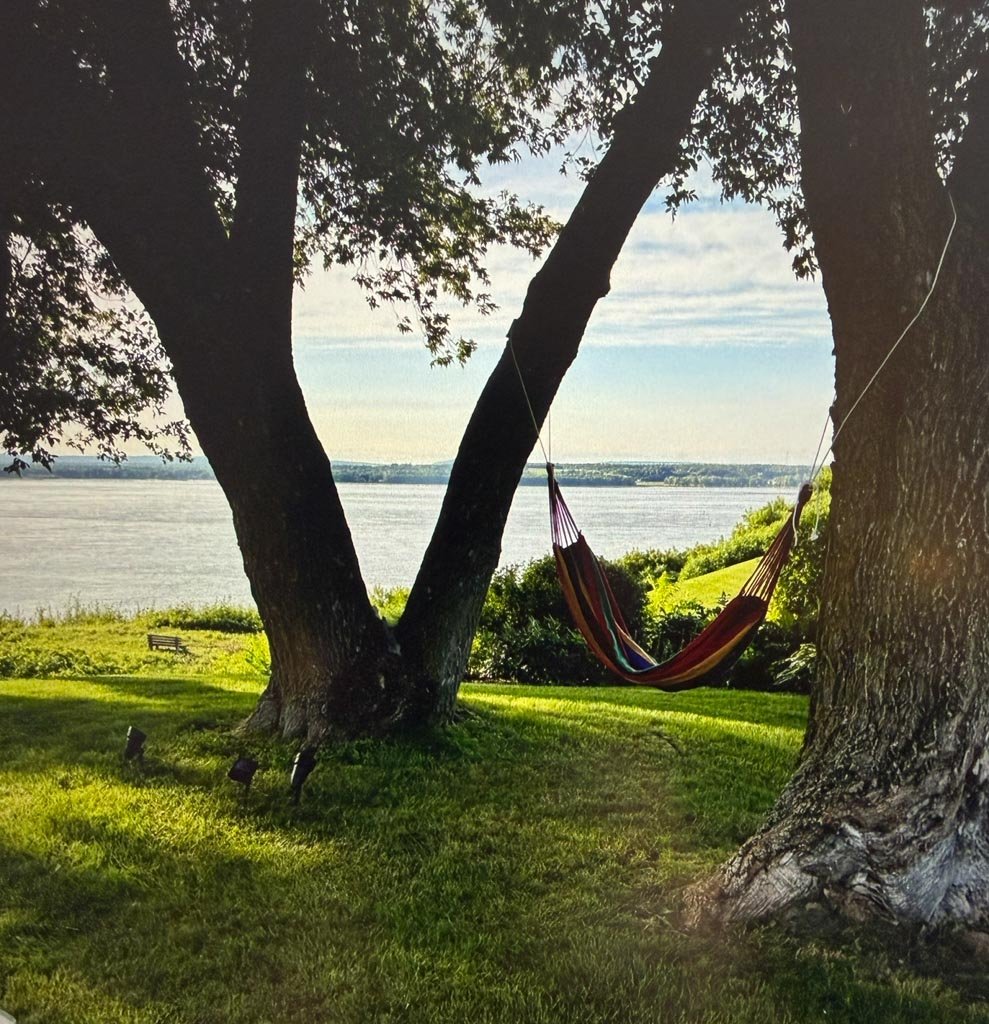 Vue sur le fleuve
