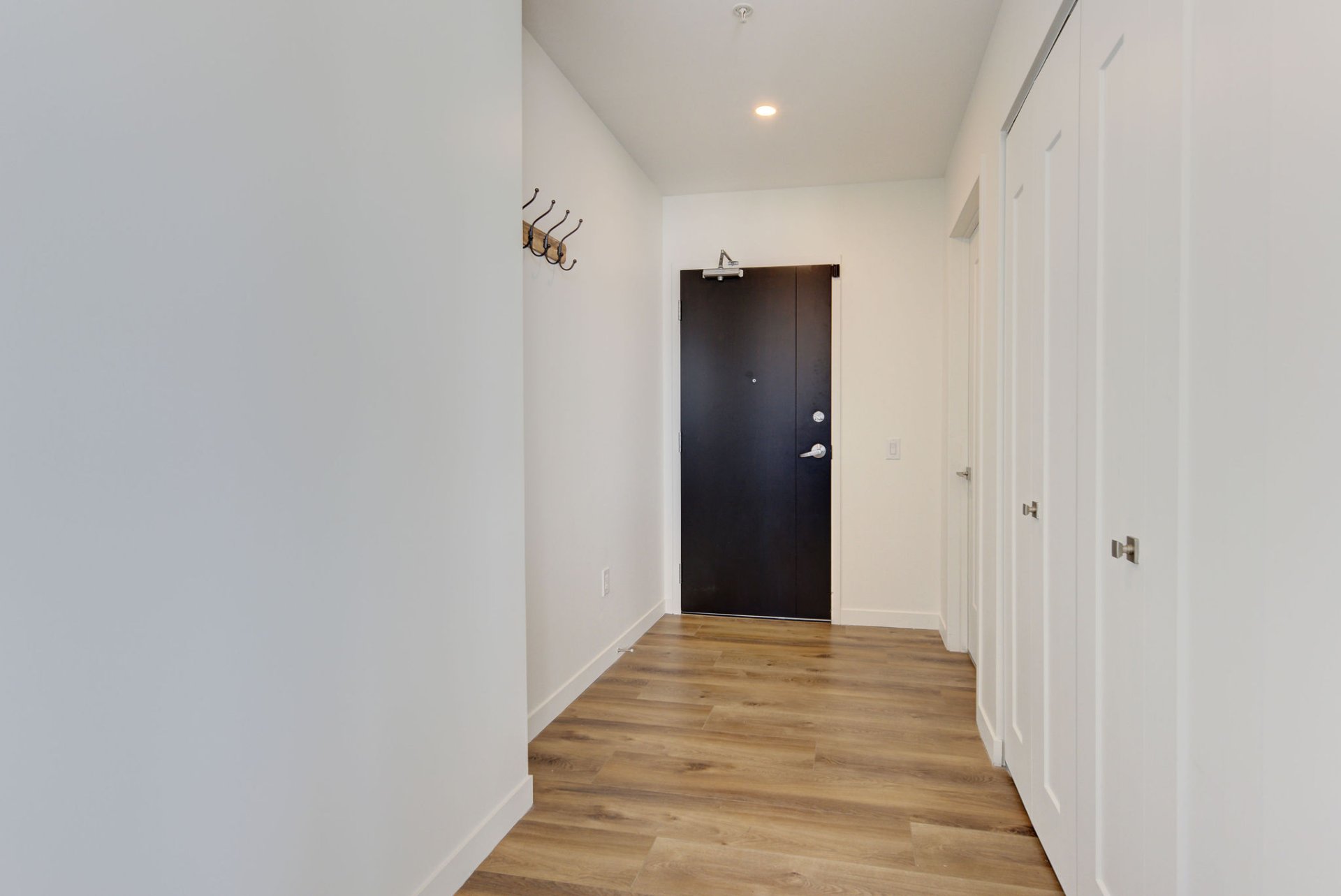 Hall d'entrée/Vestibule