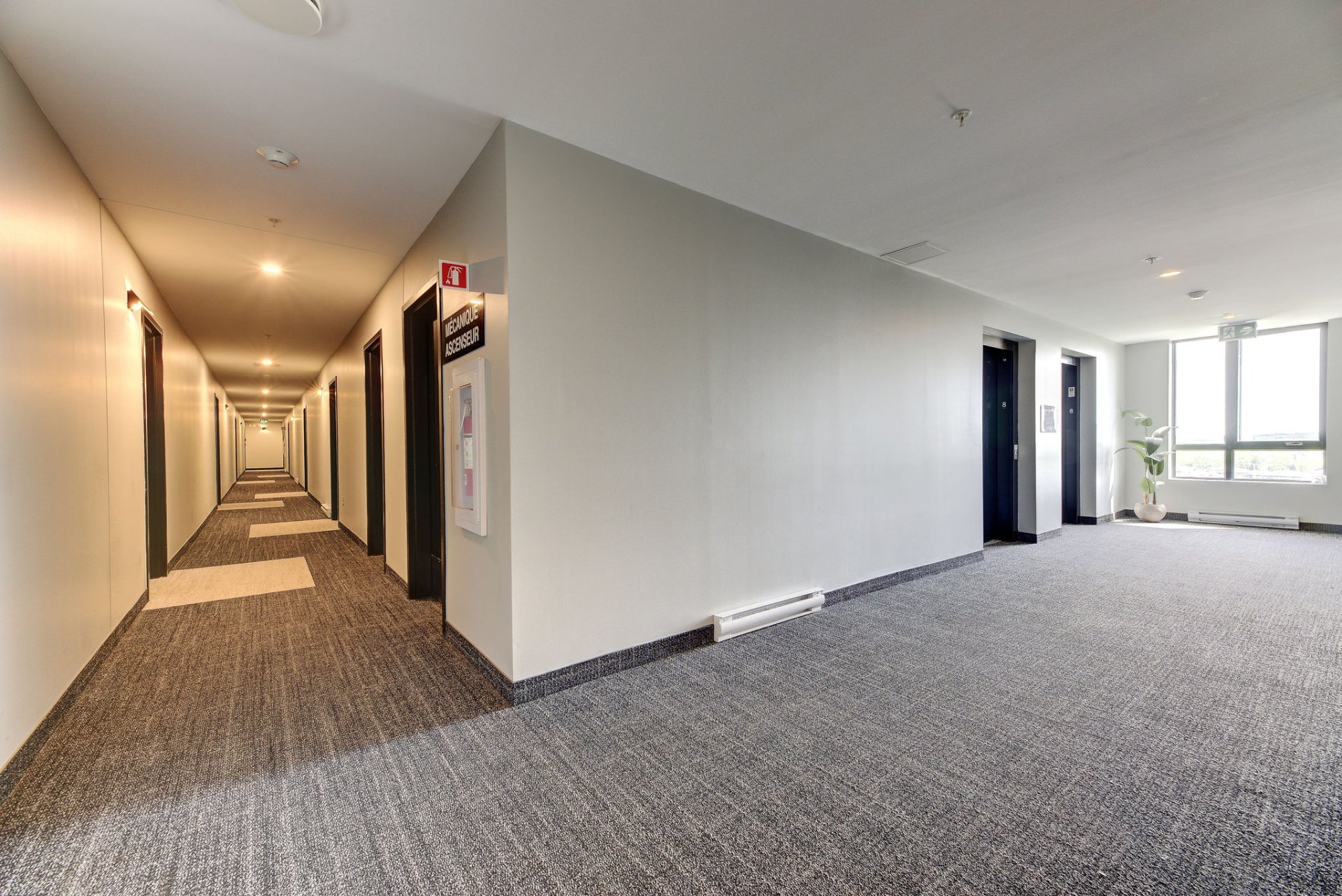 Corridor