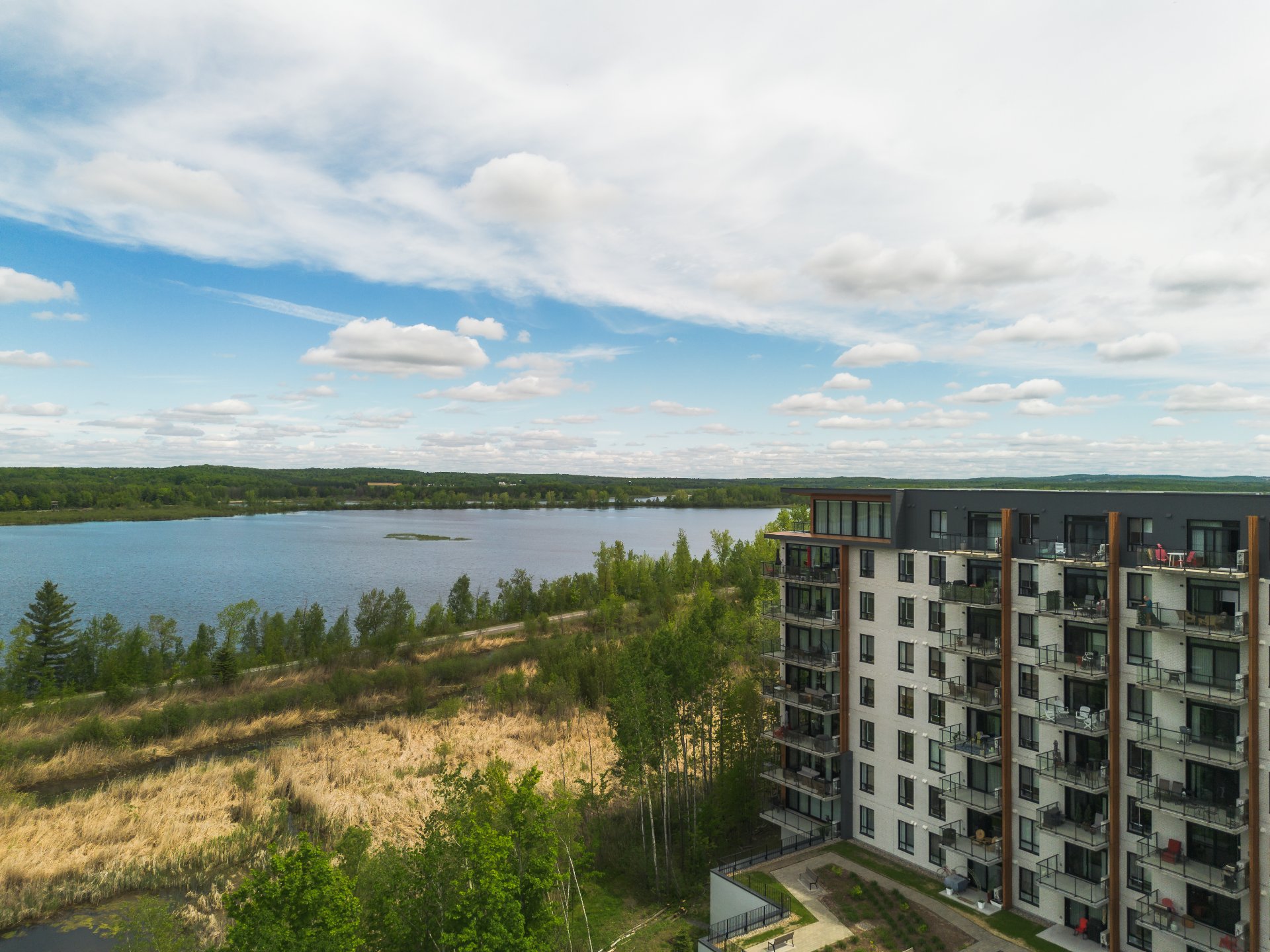Vue