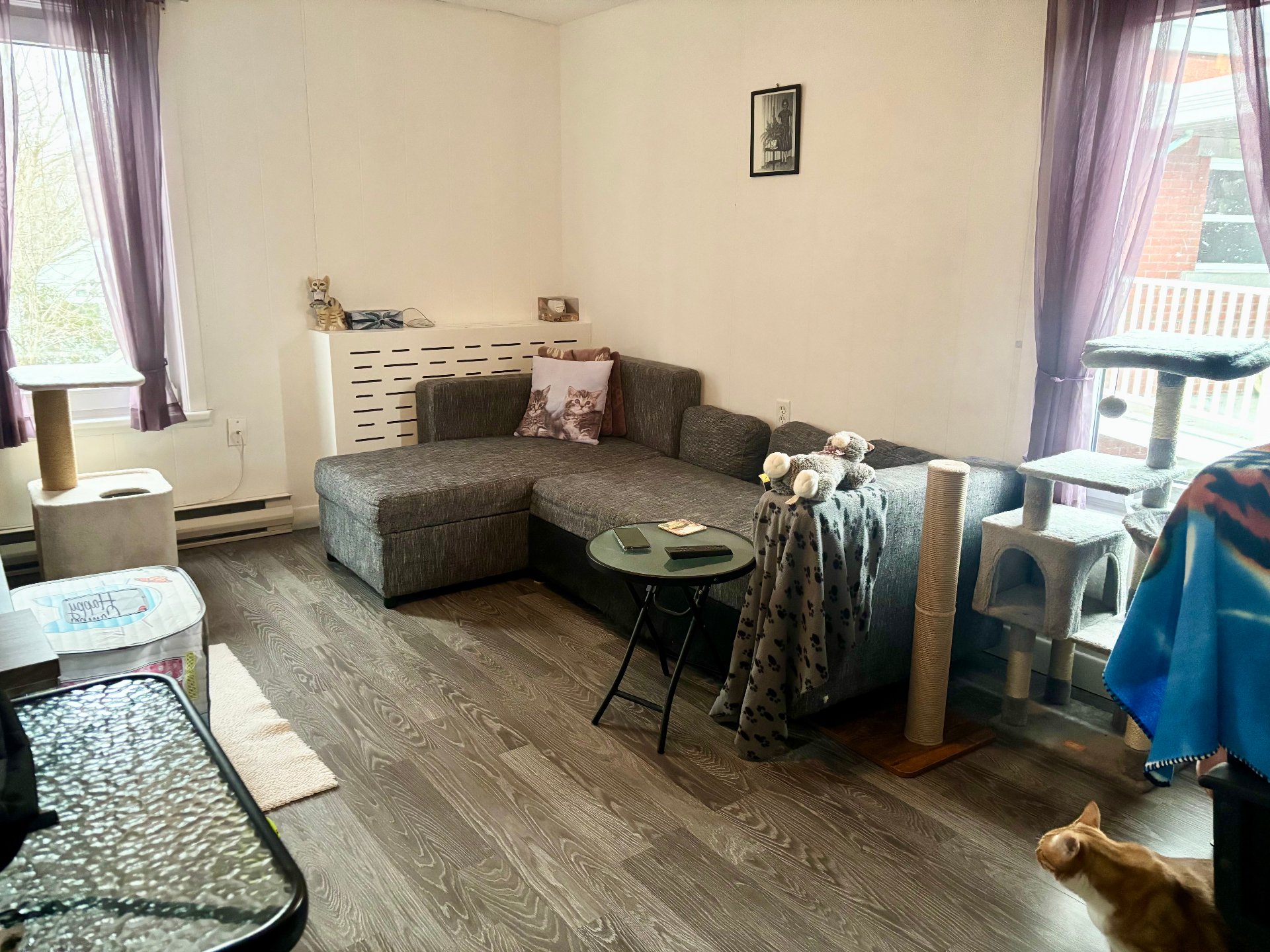 Salon