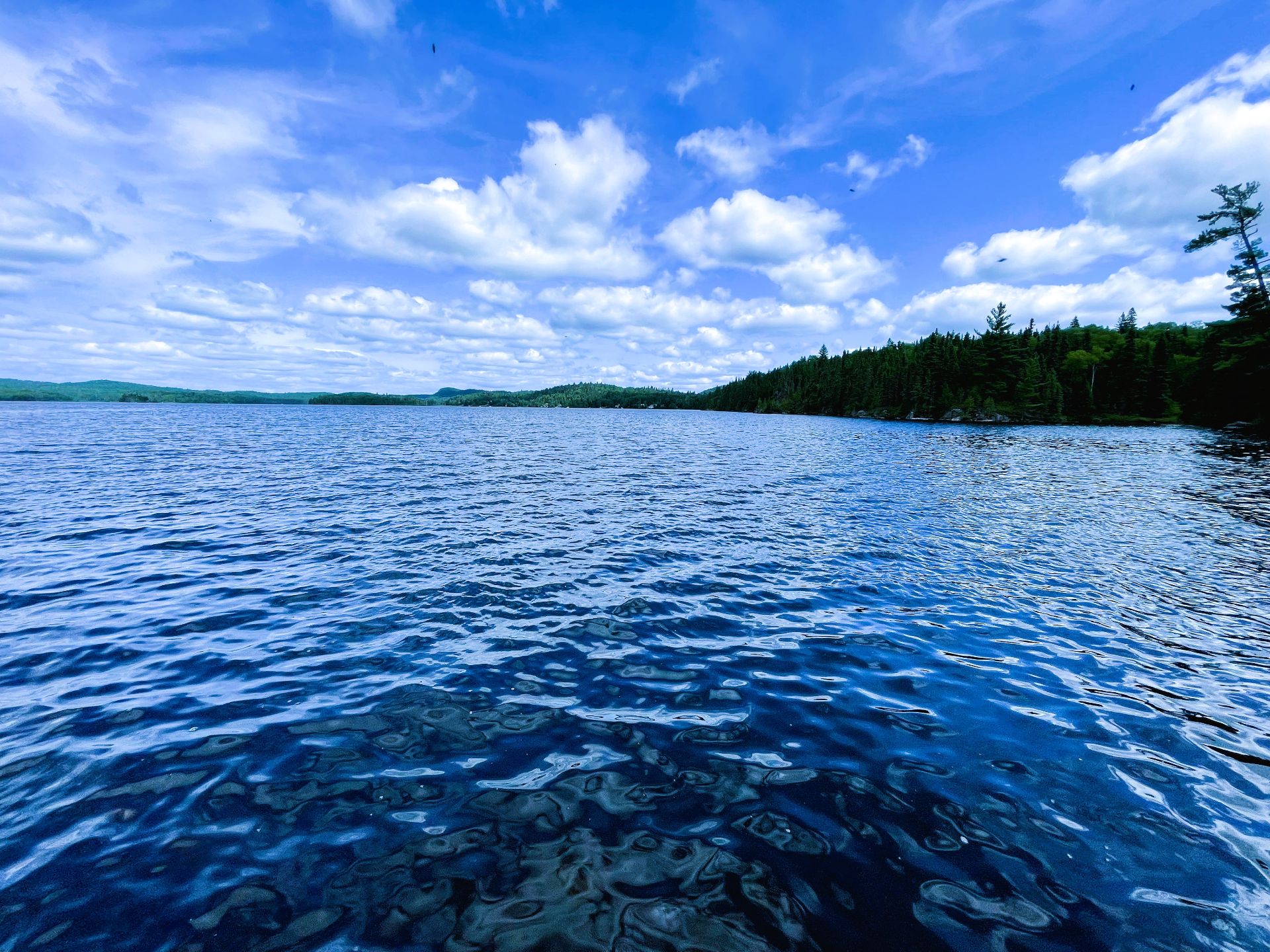 Vue sur l'eau
