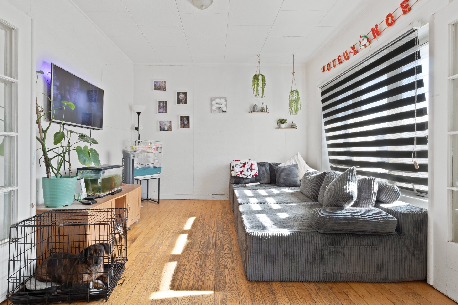 281 - Logement au rez-de-chaussée