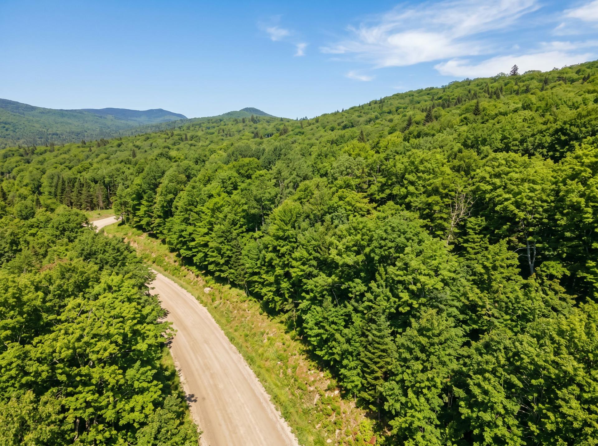 Aerial photo