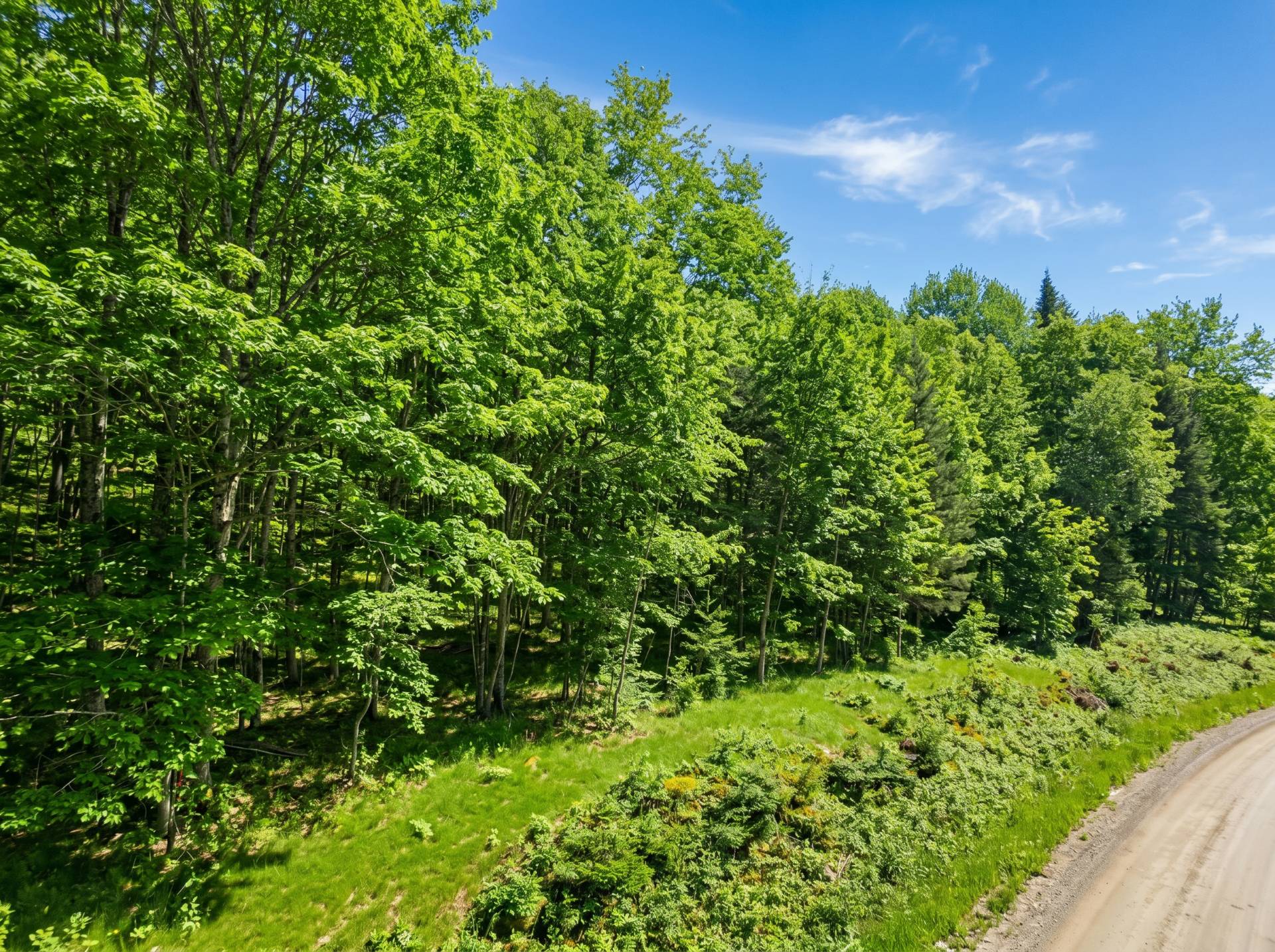 Land/Lot