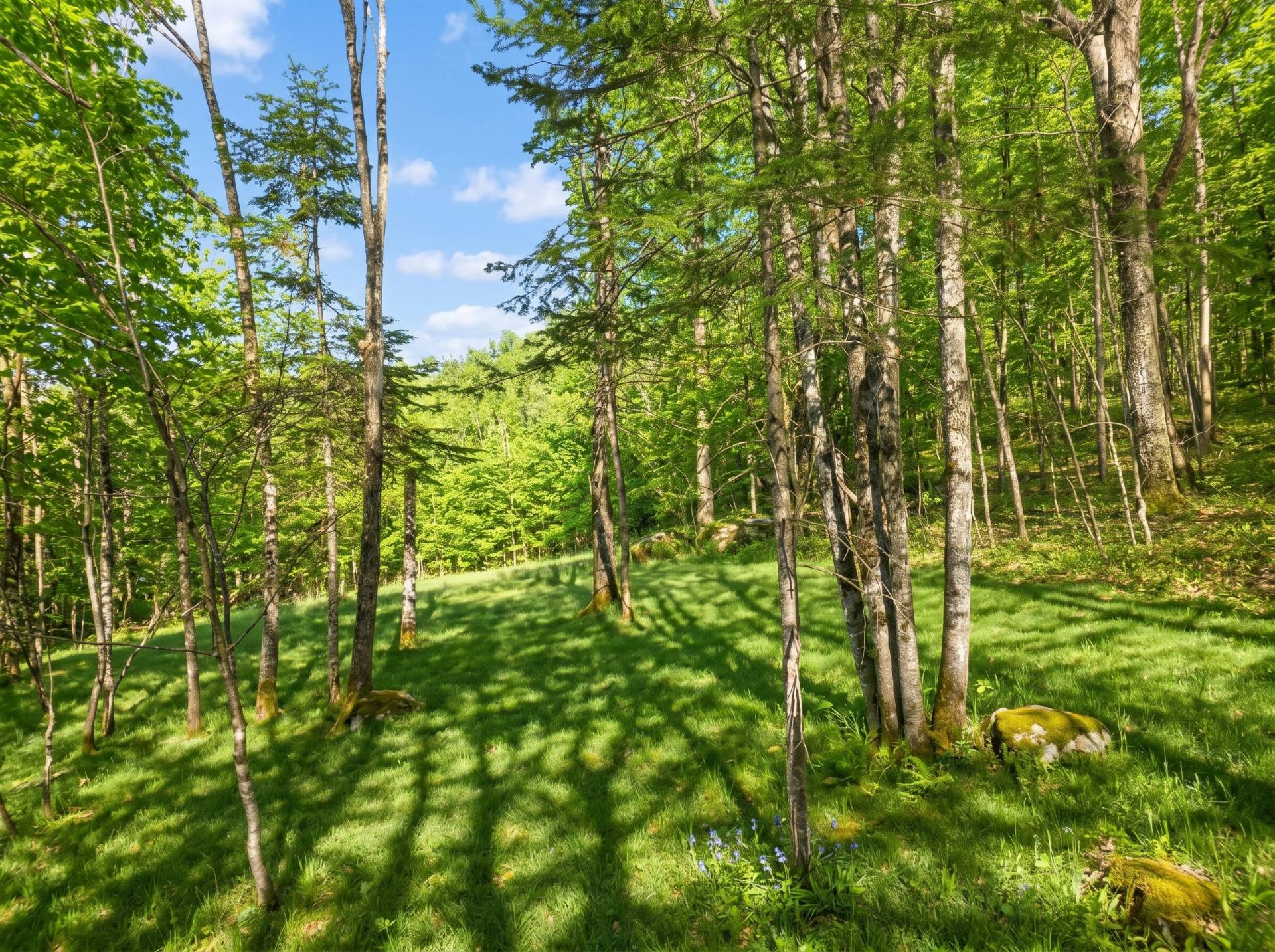 Land/Lot