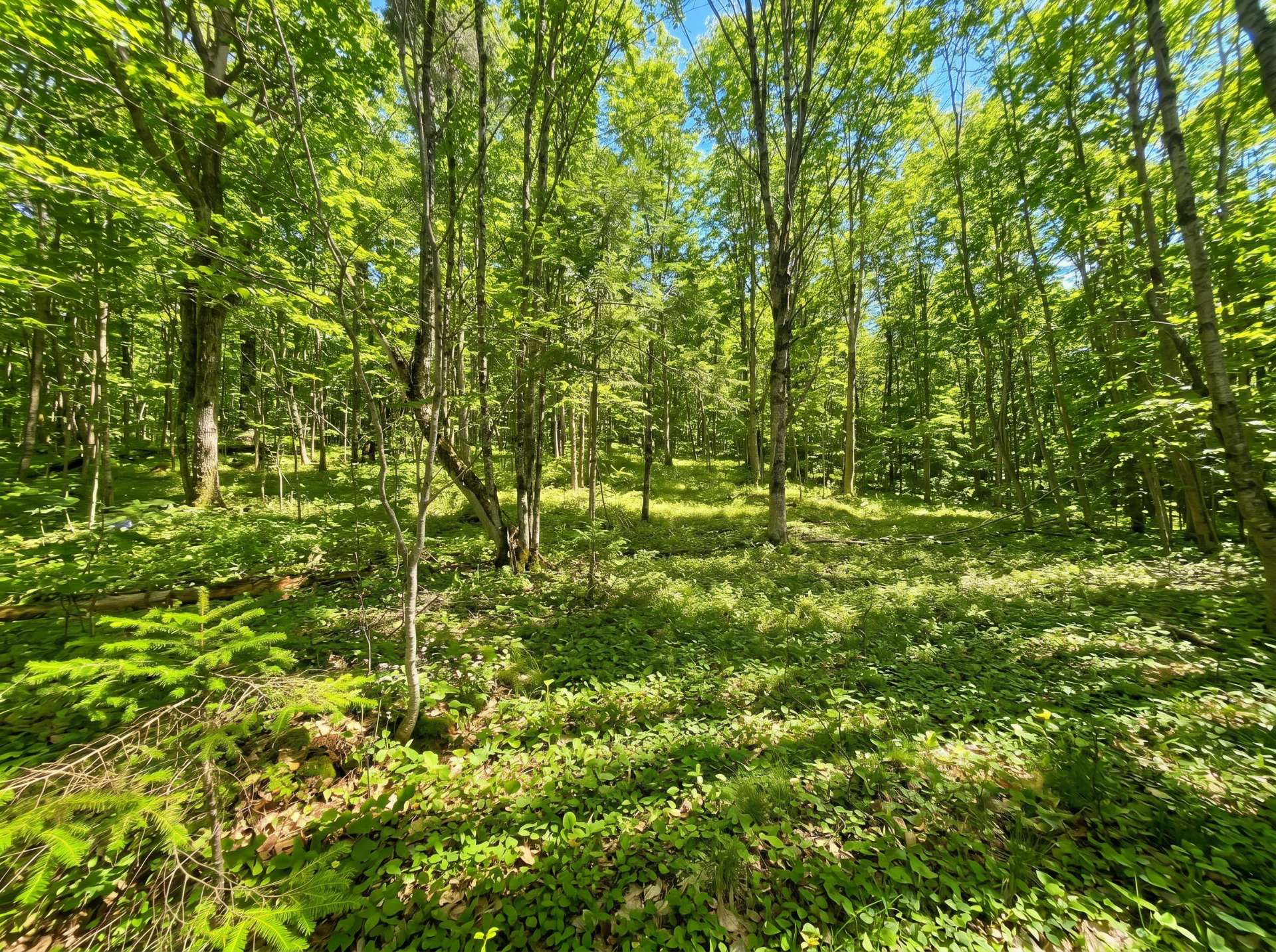 Land/Lot