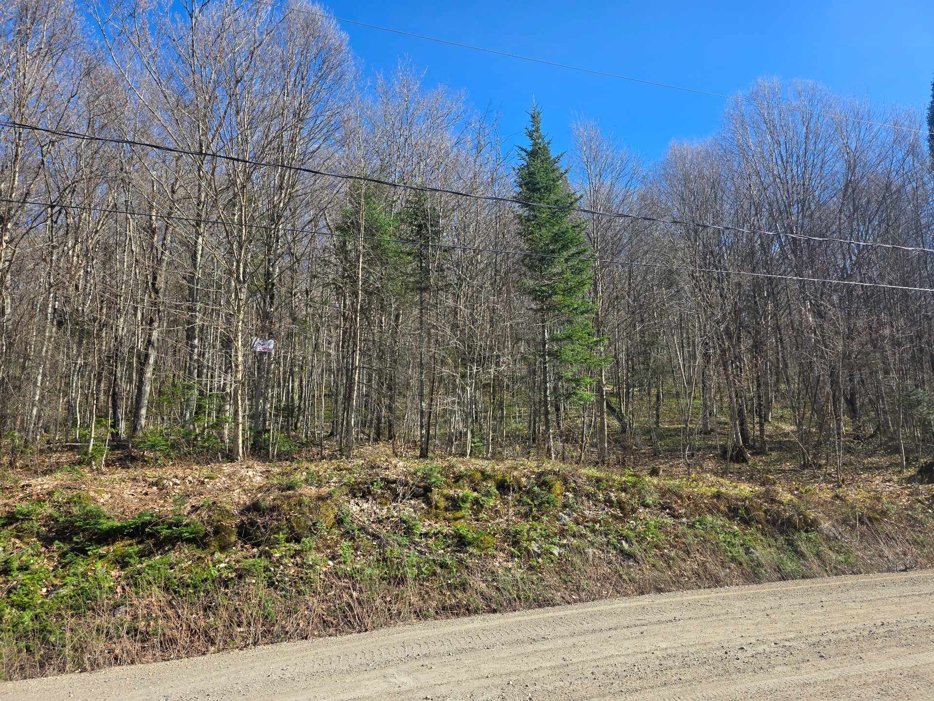 Land/Lot