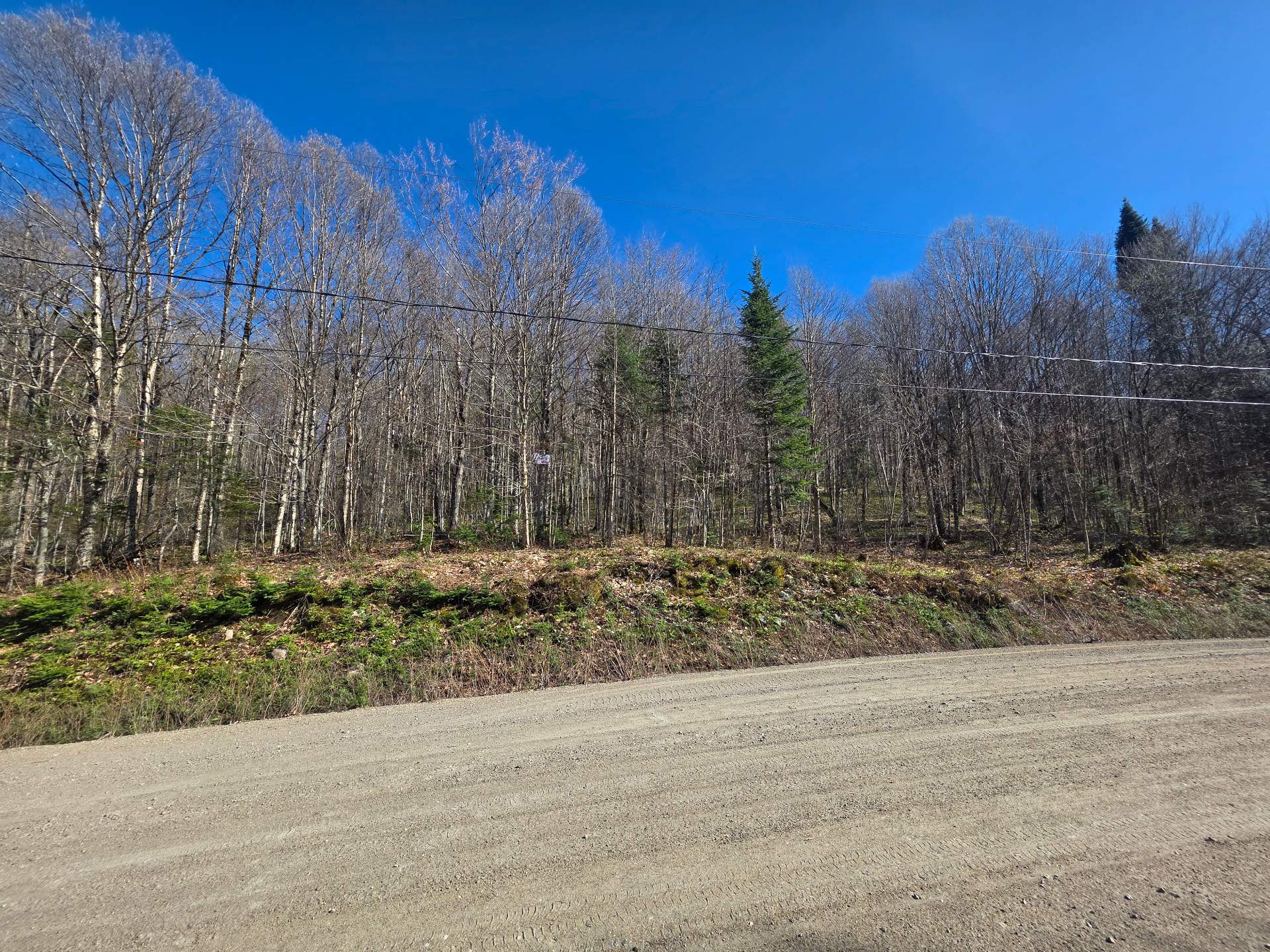 Land/Lot