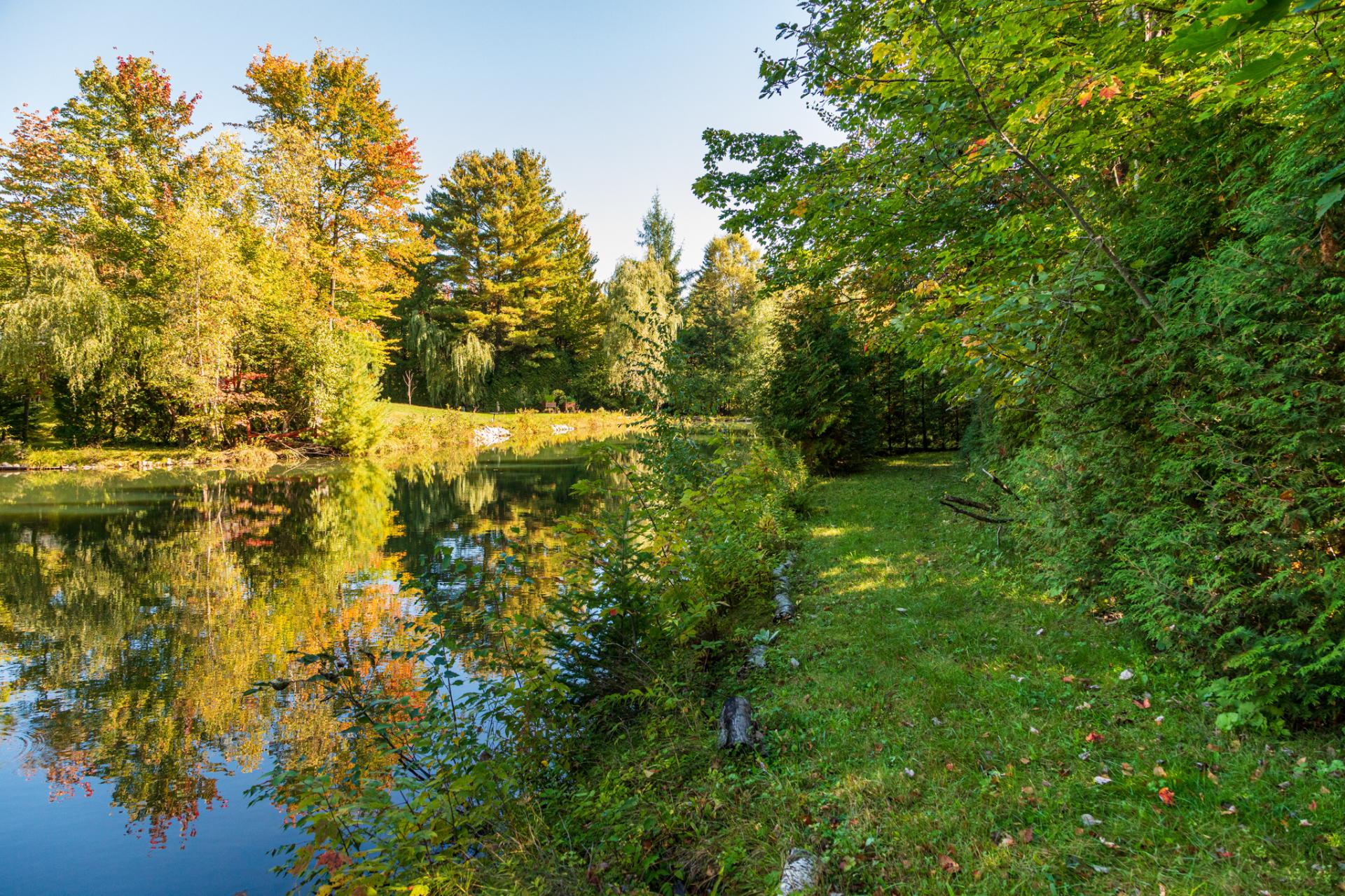 Bord de l'eau