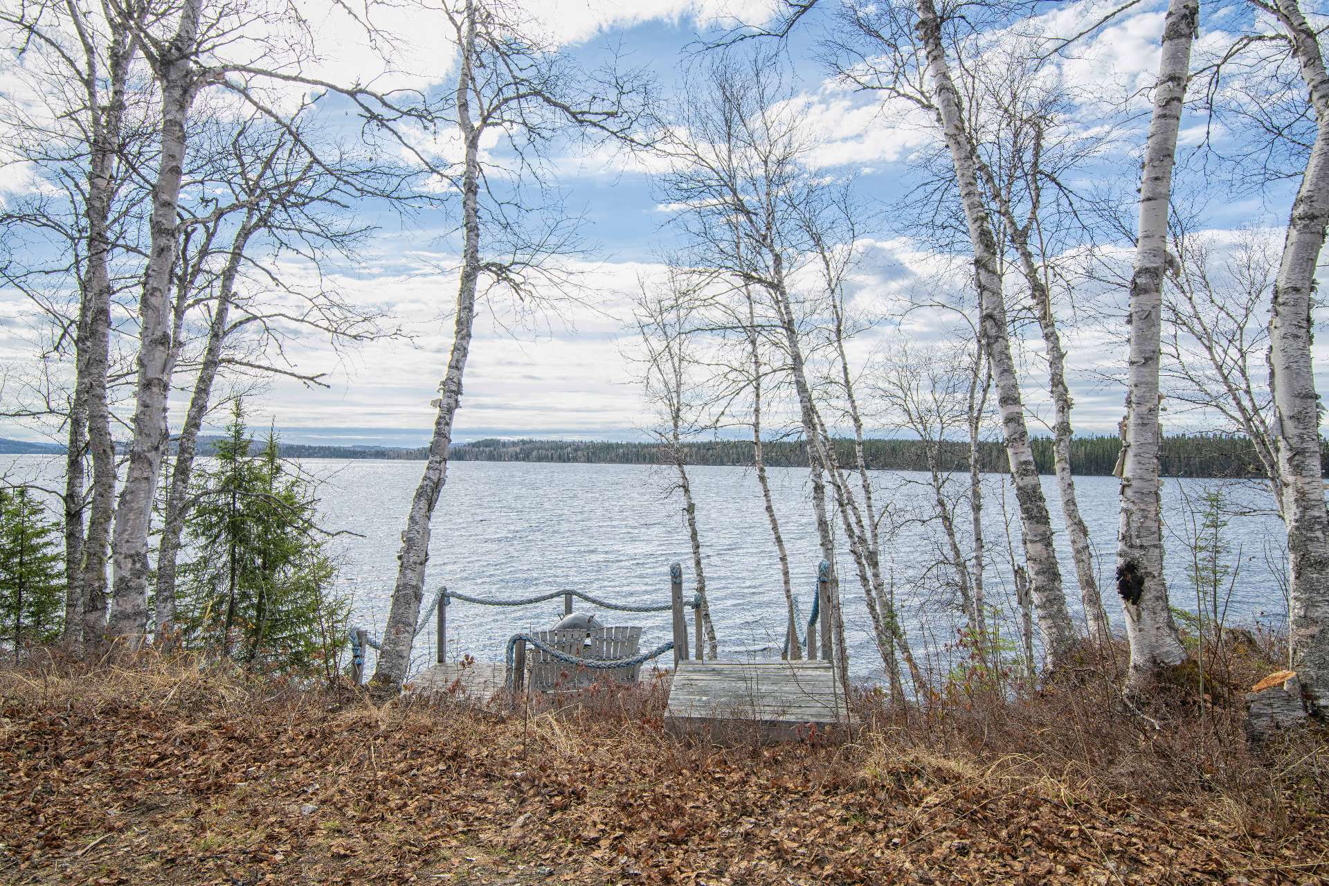 Water view