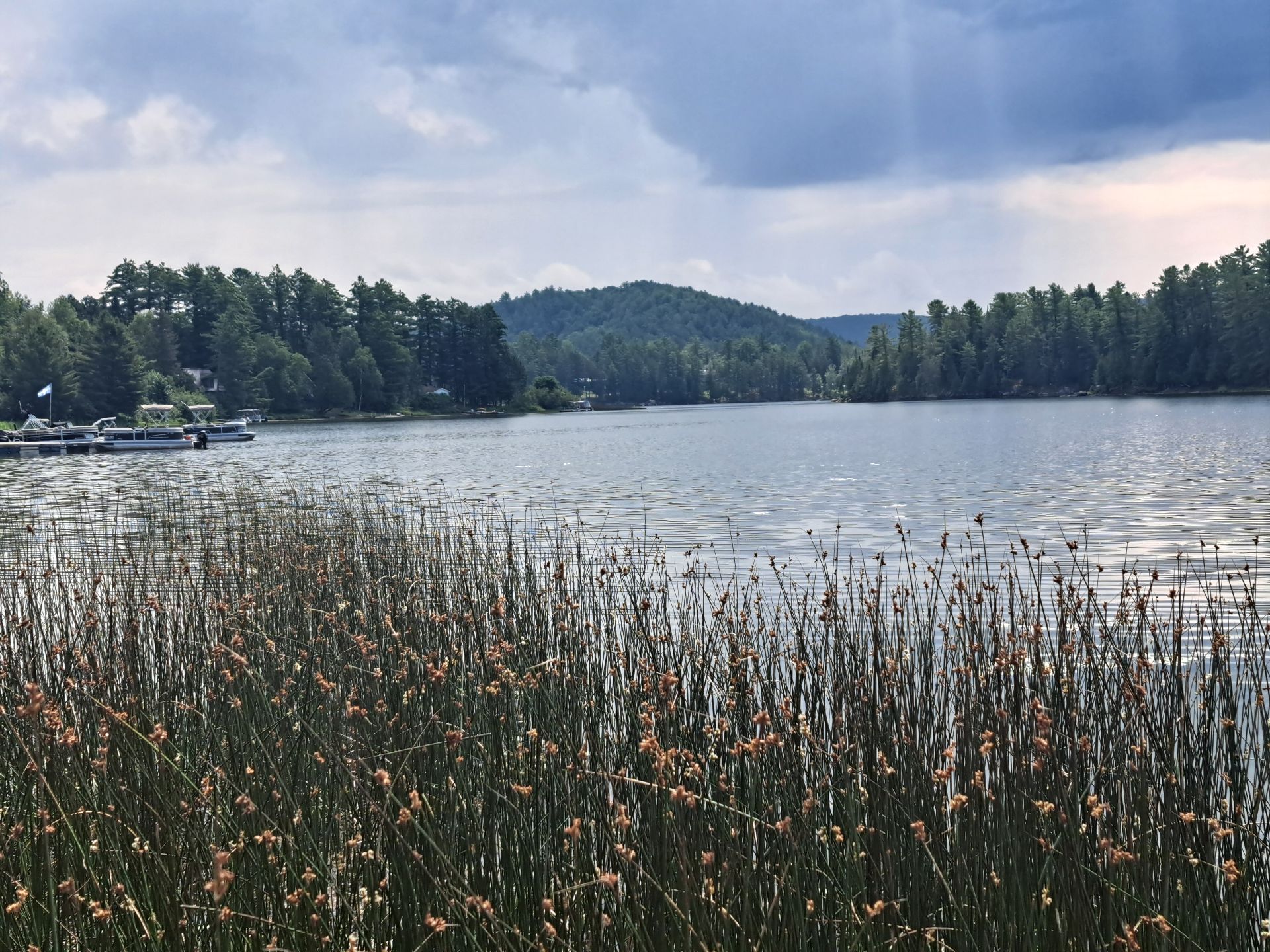 Bord de l'eau