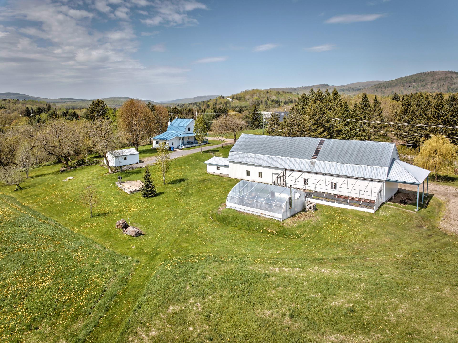 Aerial photo