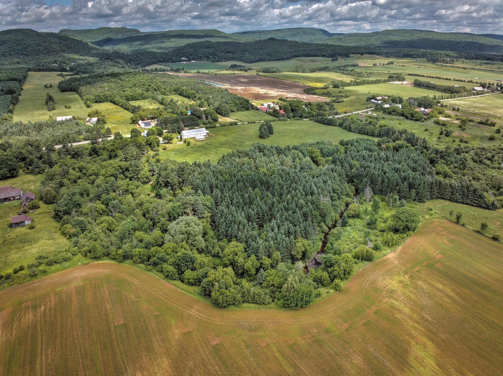 Aerial photo