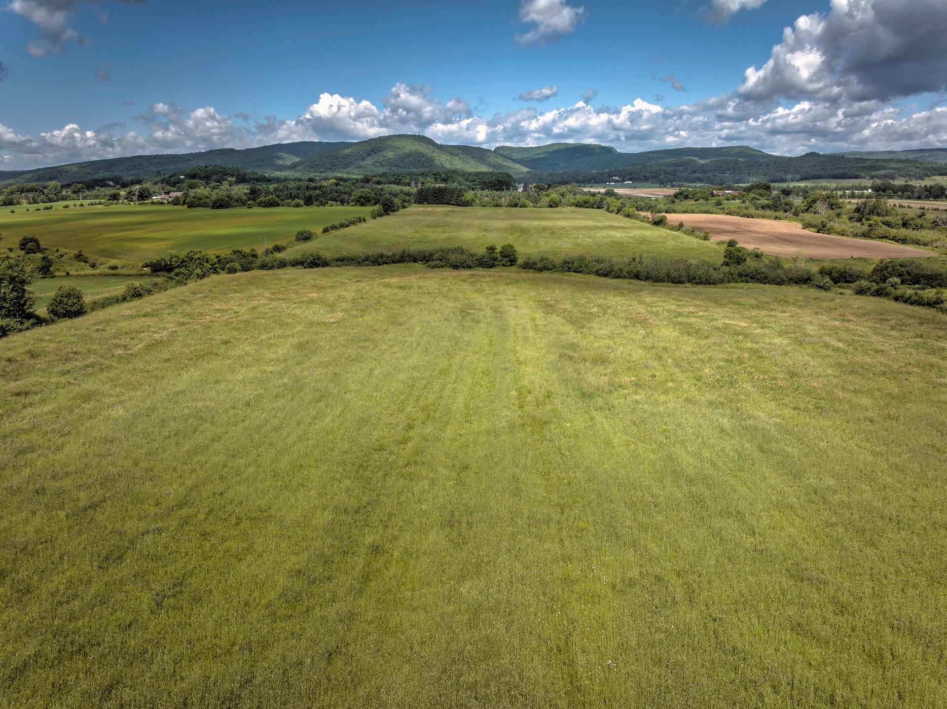Land/Lot